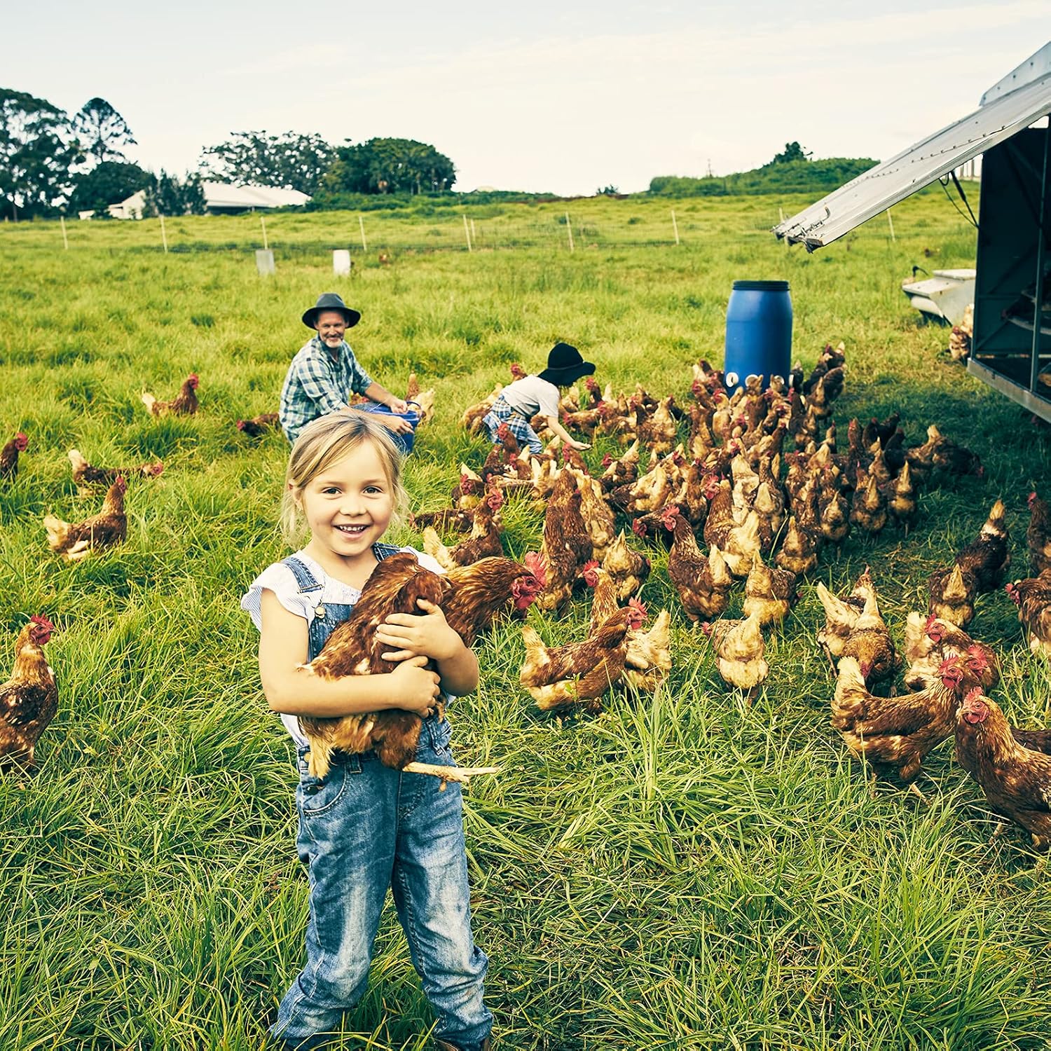 Buy RANZ 2LB & 5LB & 10LB NonGMO Dried Mealworms for Chicken Feed