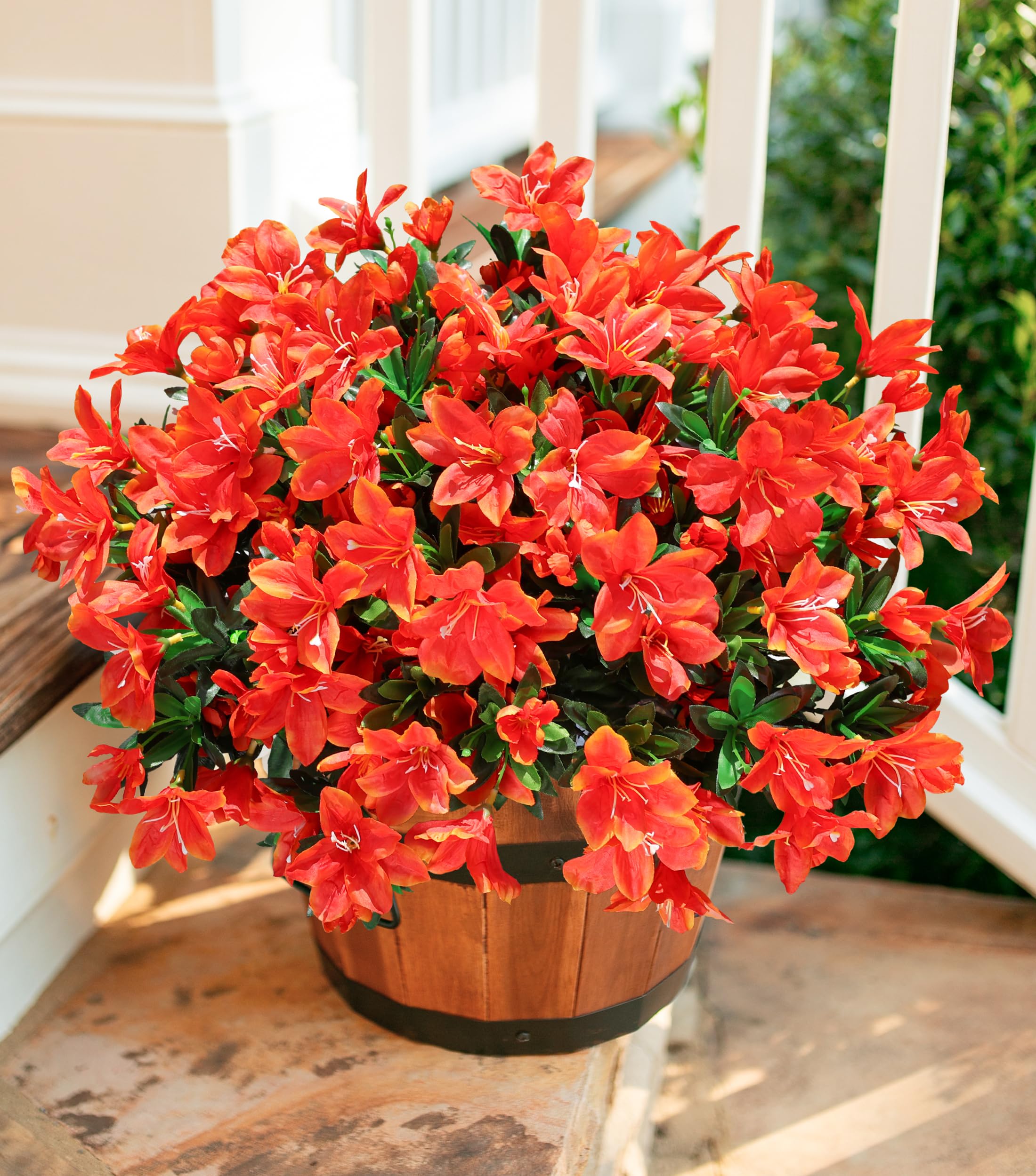 product_img5