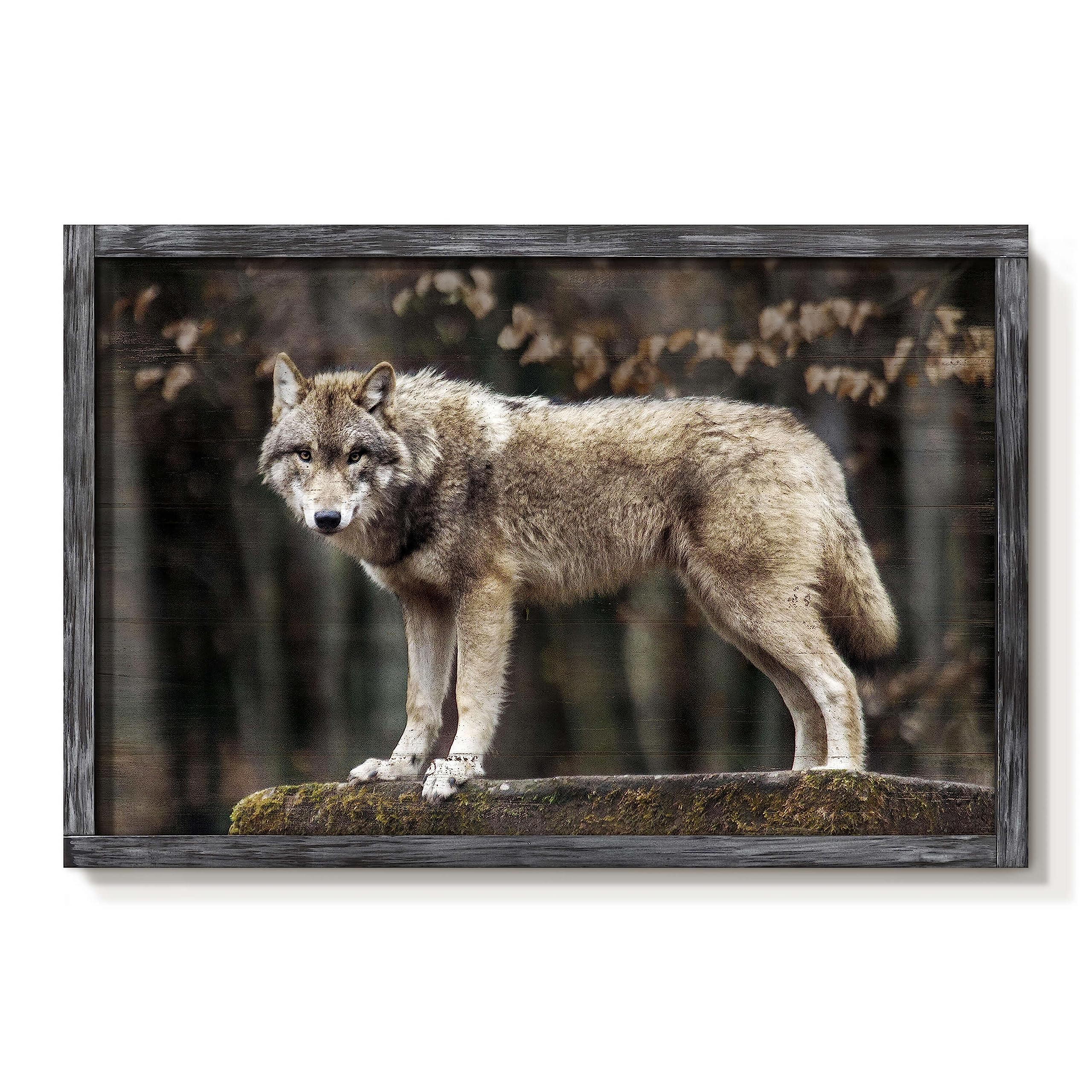 Wolf Framed Wall Art Decor: Modern Wild Animal Wooden Painting Rustic Wolf Natural Landscape Picture Wildlife Artwork for Bedroom Kitchen 36'' x 24''