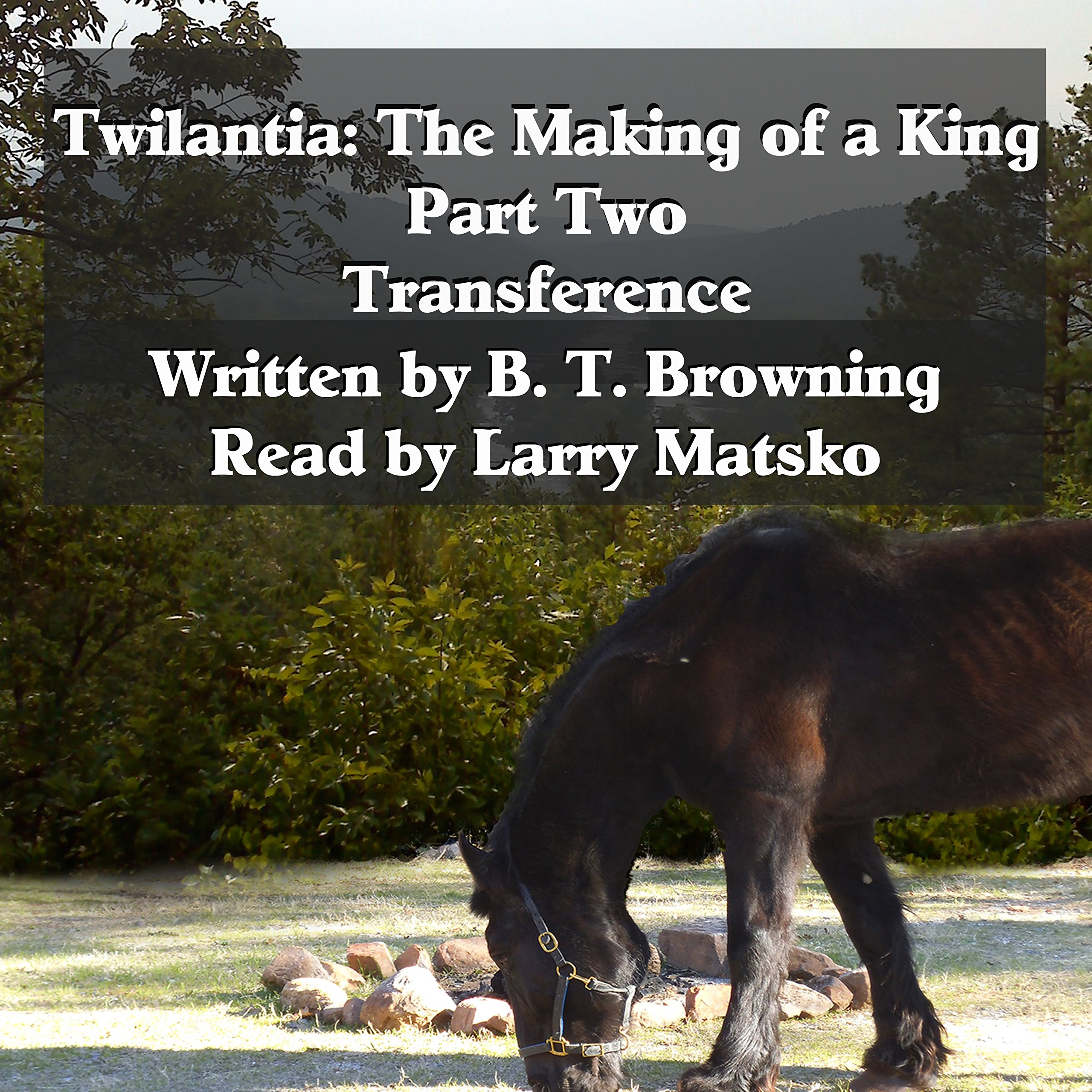 Cover art for Twilantia: The Making of a King: Part Two