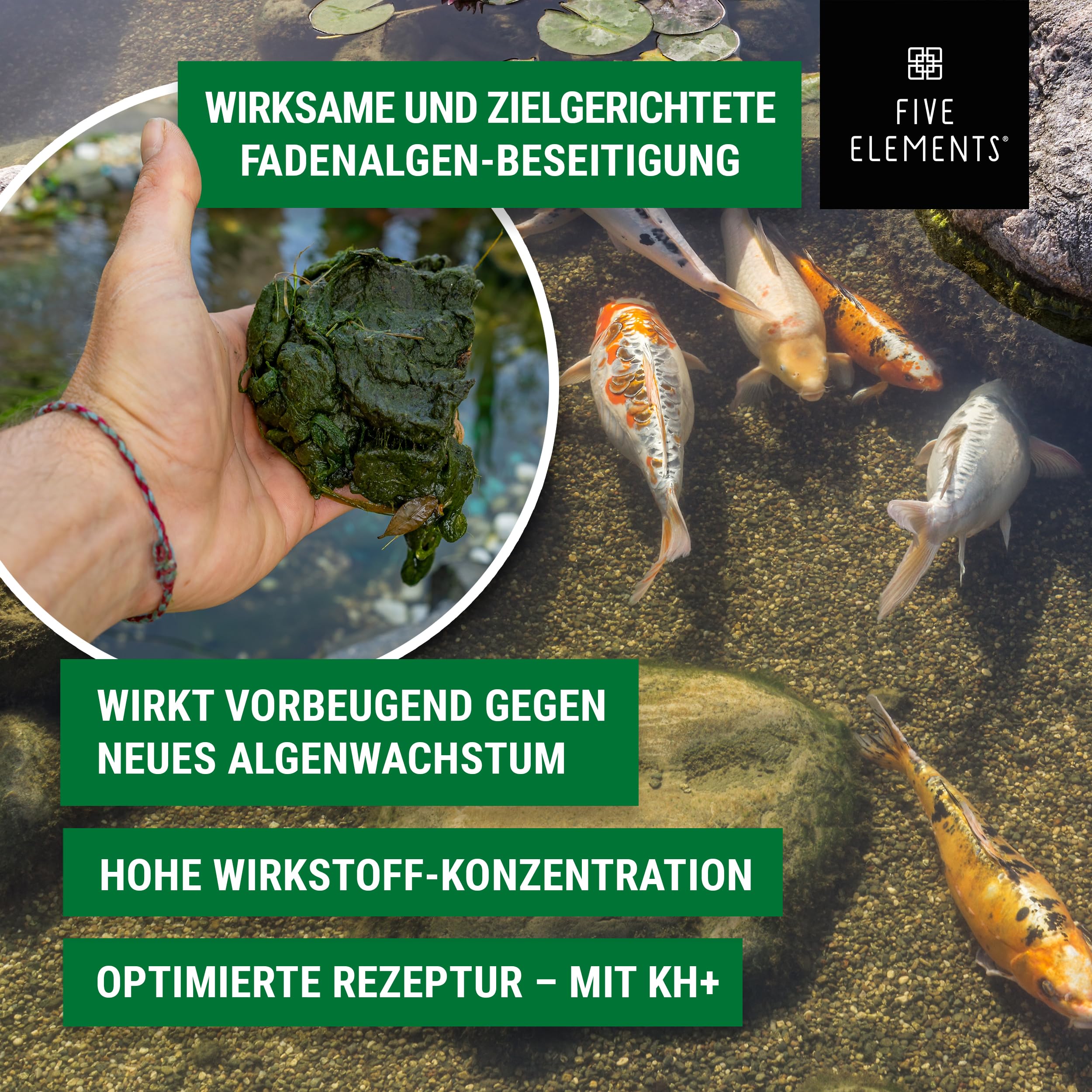 FIVE ELEMENTS® Intensiv-Algenfrei | hochwirksamer Fadenalgenvernichter für klaren Teich | für Koi-Teich geeignet | 5 kg