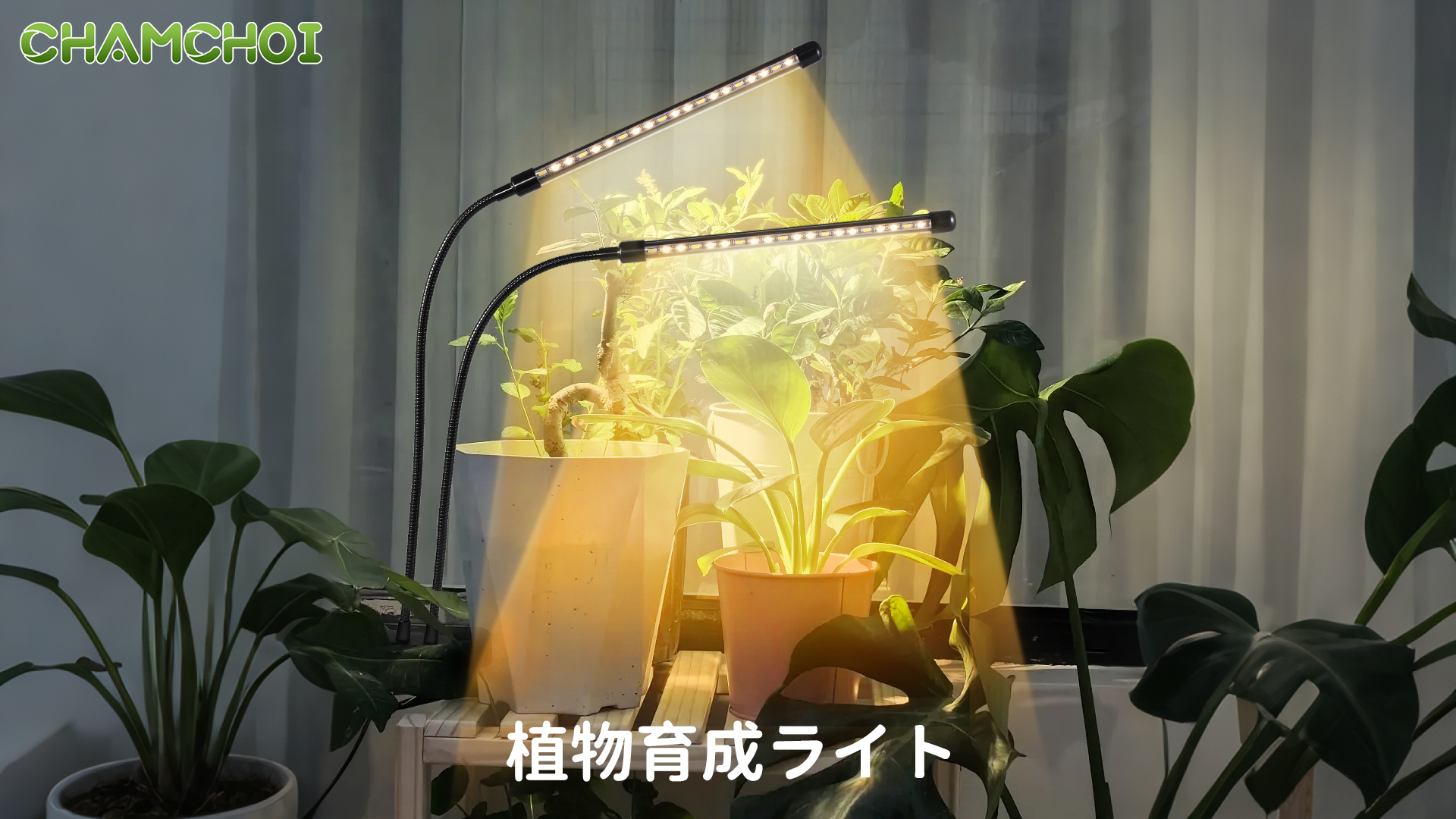 Amazon.co.jp: CHAMCHOI 植物育成ライト led 2ヘッド クリップ式 フル