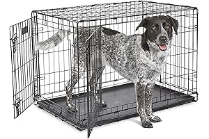 Vibrant Life Dog Crate: Double Door Comfort for Your Furry Friend