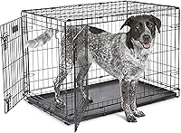 MidWest iCrate 36-Inch Double Door Folding Dog Crate for 41-70 lb Breeds - Leak-Proof Tray, Divider Panel, Secure Latches
