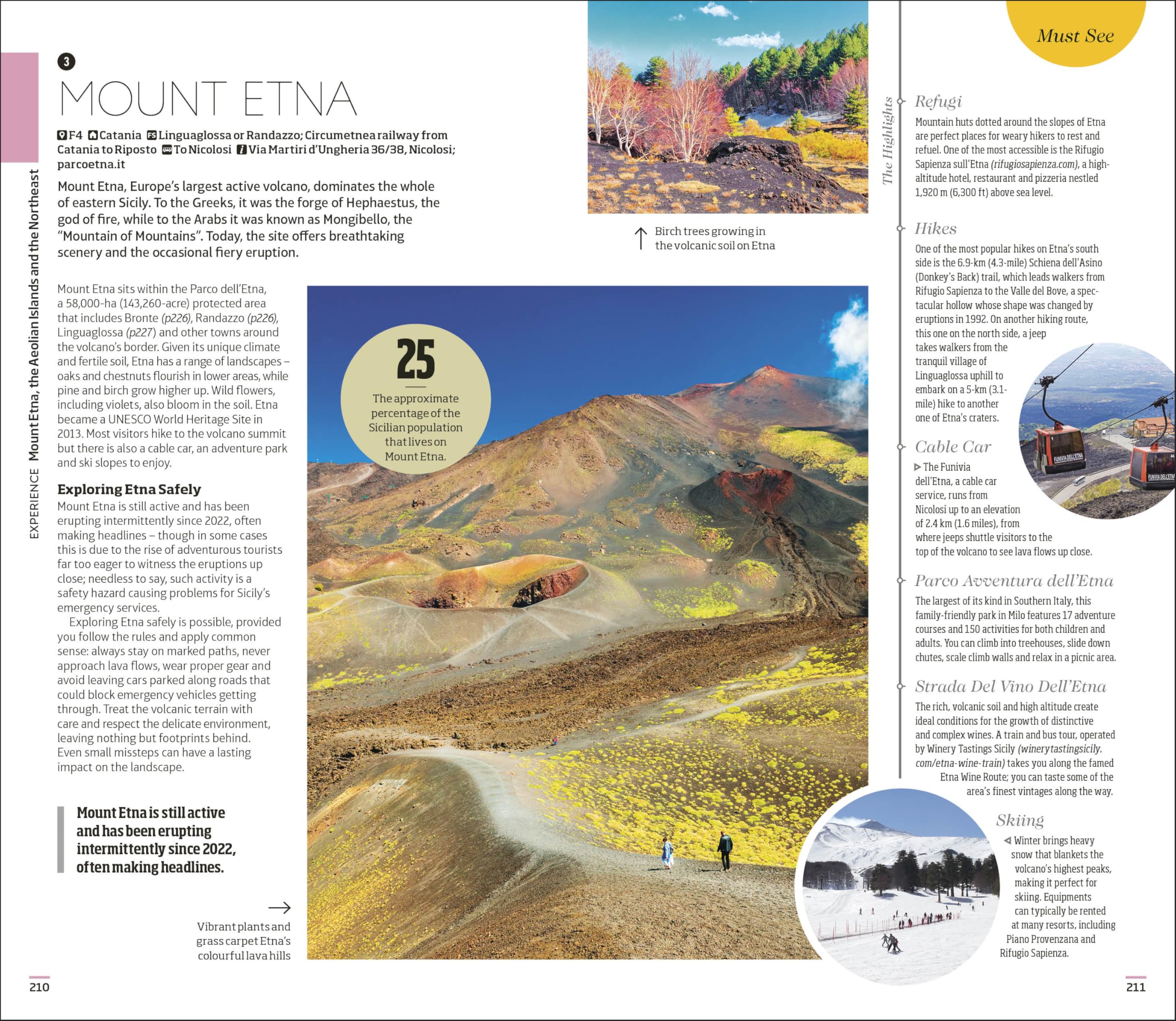 DK Sicily: Must-See Sights. Culture & History. Detailed Maps & Tours. Covers Palermo, Taormina, Mount Etna, & m