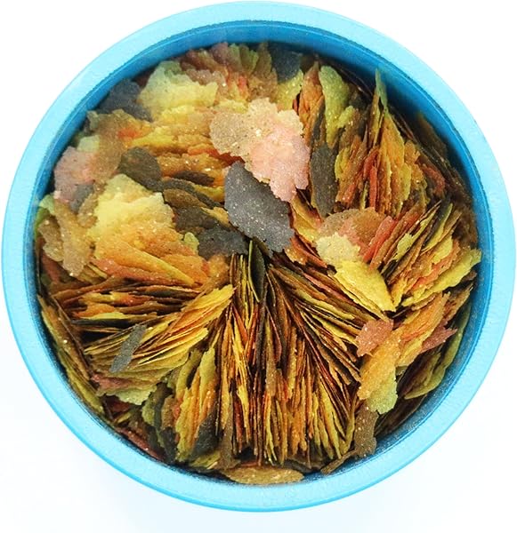 AQUARIAN AQUARIAN Complete Nutrition, Aquarium Tropical & Temperate Fish Food Flakes, 50g Container in use