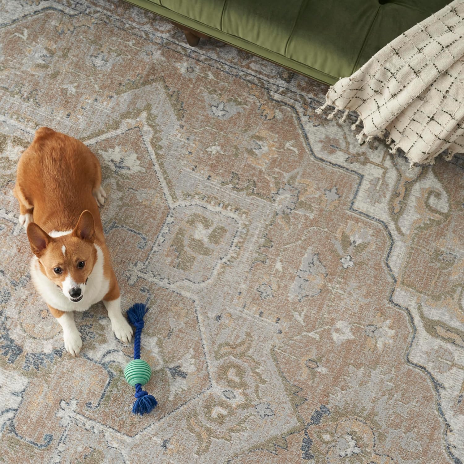 Nourison Home Astra Machine Washable Beige 9' x 12' Area Rug - Easy Clean, Non Shedding, Bed Room, Living Room, Dining Room, Kitchen (9' x 12')