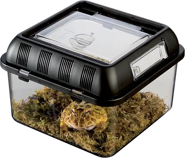 Exo Terra Grow Box Small - Terrarium voor wandelende takken