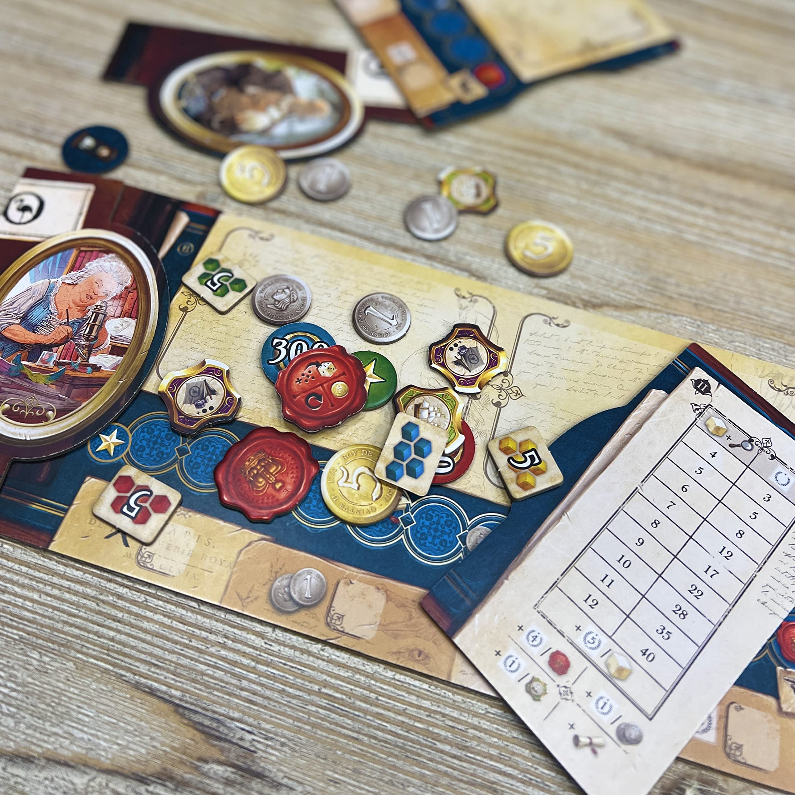 Asmodee - Encyclopedia - Gioco da Tavolo, 2-4 Giocatori, 14+ Anni, Edizione in Italiano