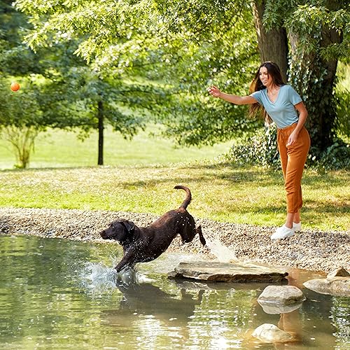 Miniatura 8 de Comida seca Nature's Recipe para perro libre de granos