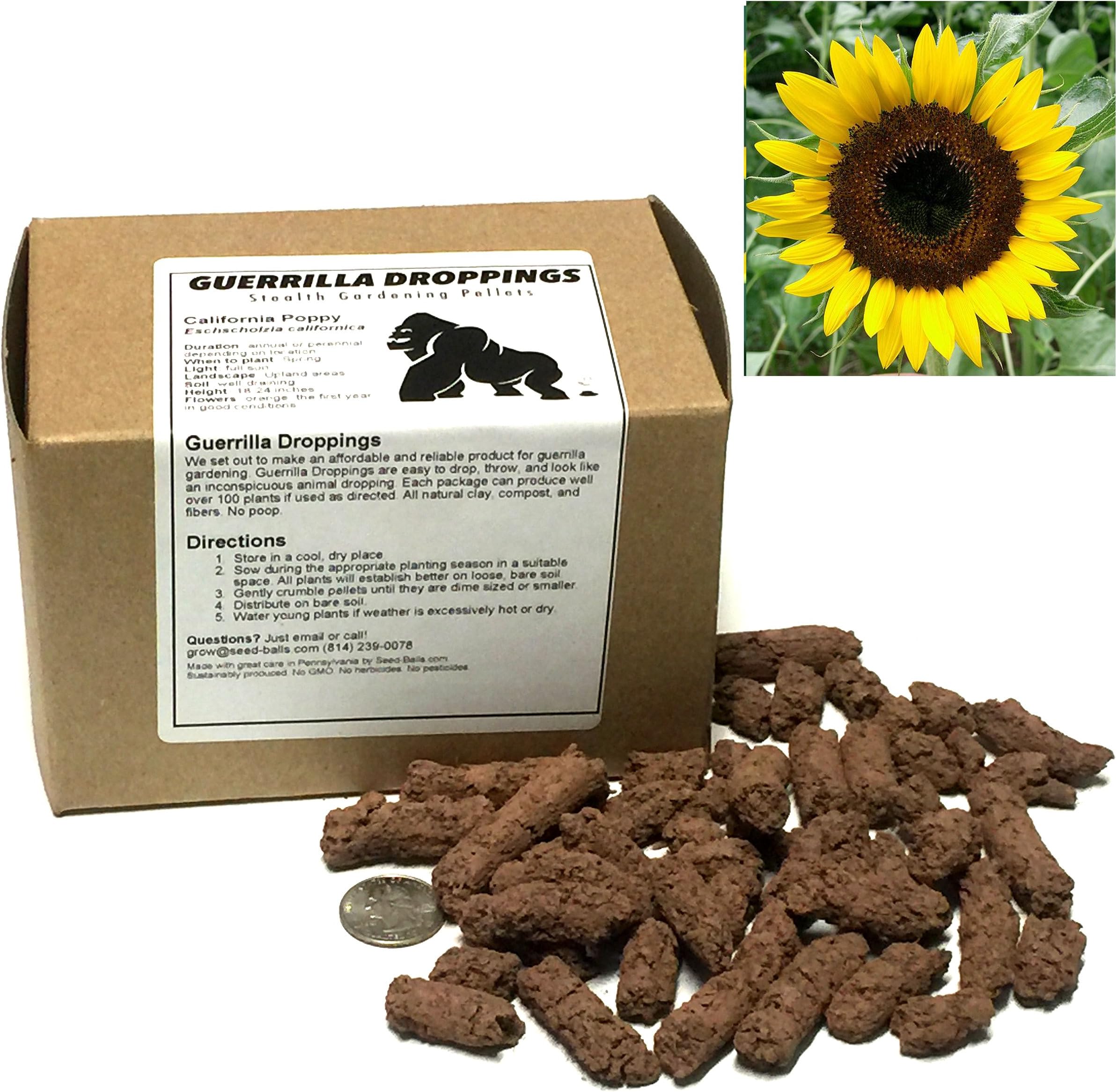 Sunflower (Black Oil) Guerrilla Droppings - Seed Pellets for Guerrilla Gardening (Helianthus annuus)