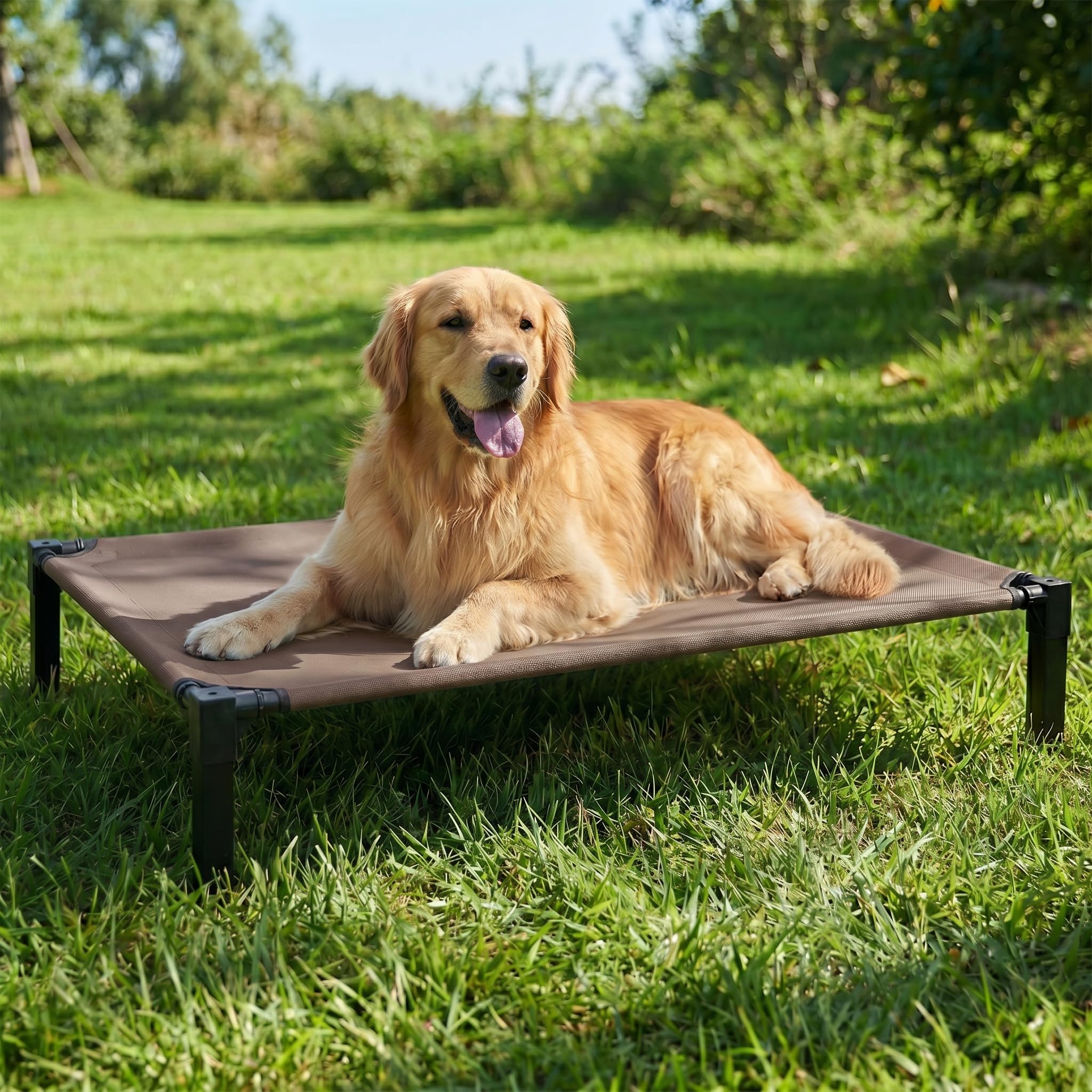 Niubya Elevated Dog Bed for Large Dogs, Cooling Mesh Cot, Chew-Proof Washable, Rust-Resistant Metal Frame, Non-Slip Feet – XL: 130x92x24 cm – for Labrador, German Shepherd & Golden Retriever