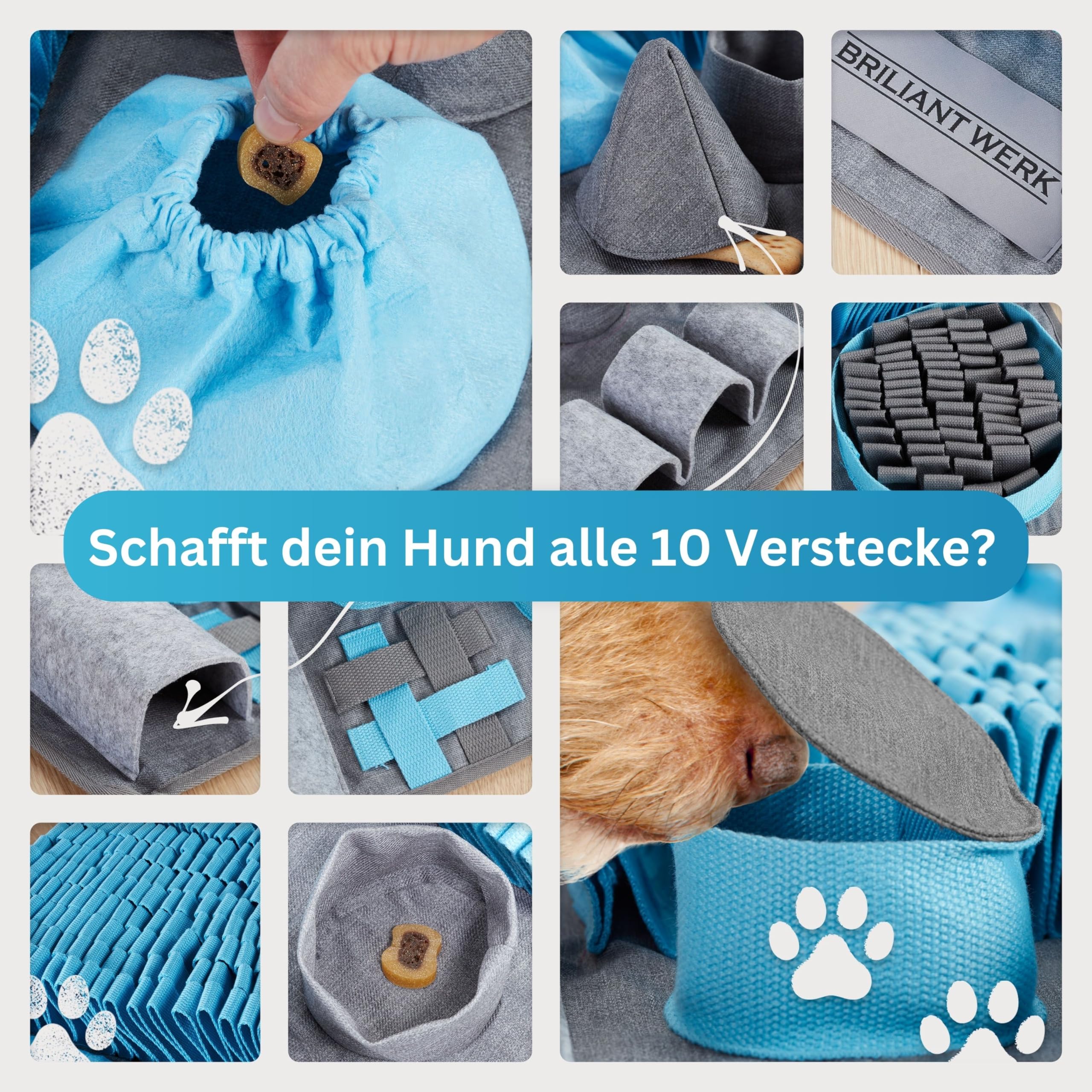 Briliantwerk® Alfombra para olfatear Perro – Material Extremadamente Resistente – 10 Elementos de Entrenamiento y 3 Niveles de dificultad – El Juguete de Inteligencia para Perros de Todos los tamaños