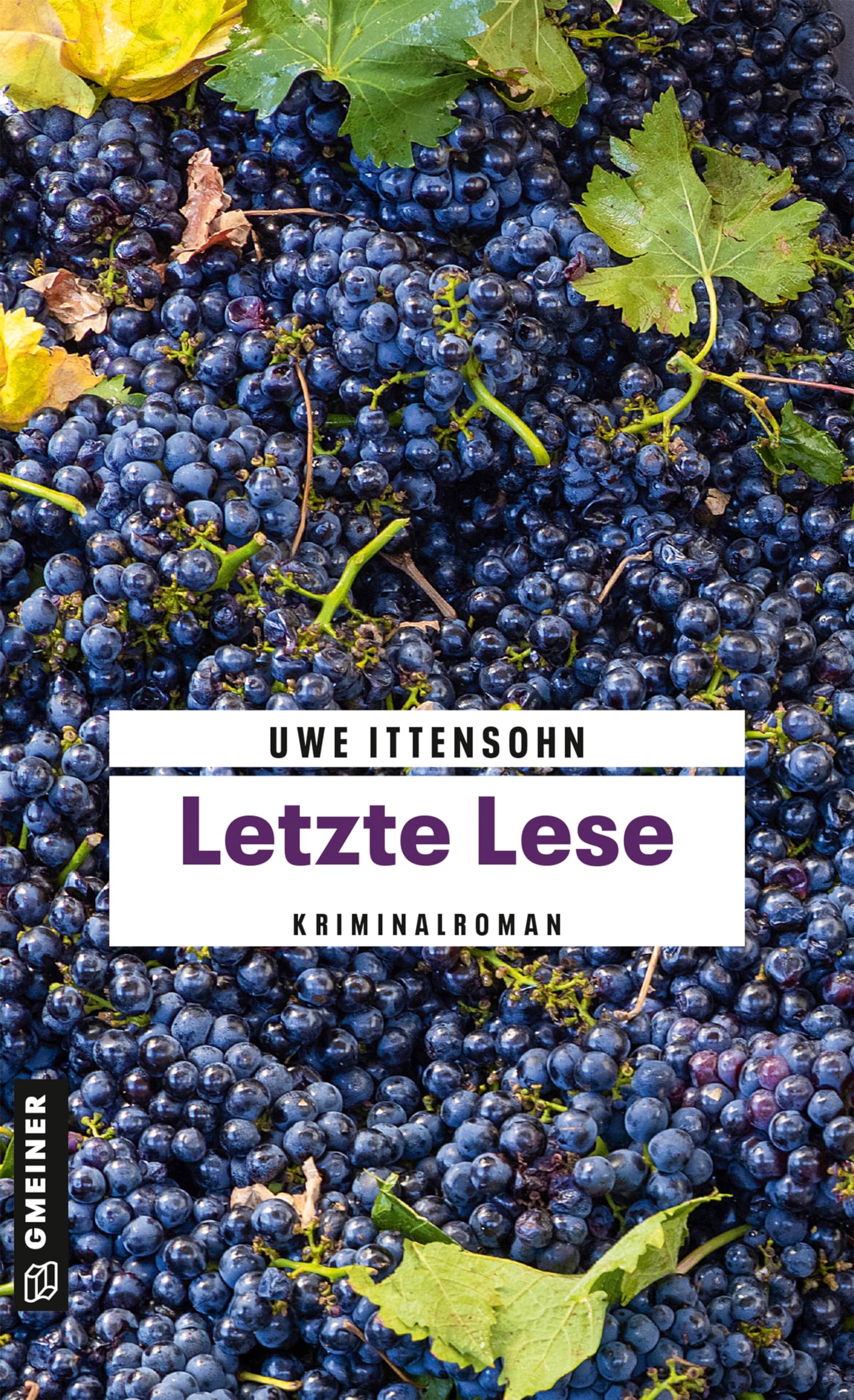 Letzte Lese: Kriminalroman (Kommissar Achill und Stadtführer Sartorius 6)