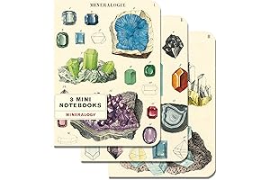 Cavallini & Co. Mineralogy Mini Notebooks 4 x 5.5" 4 Pack