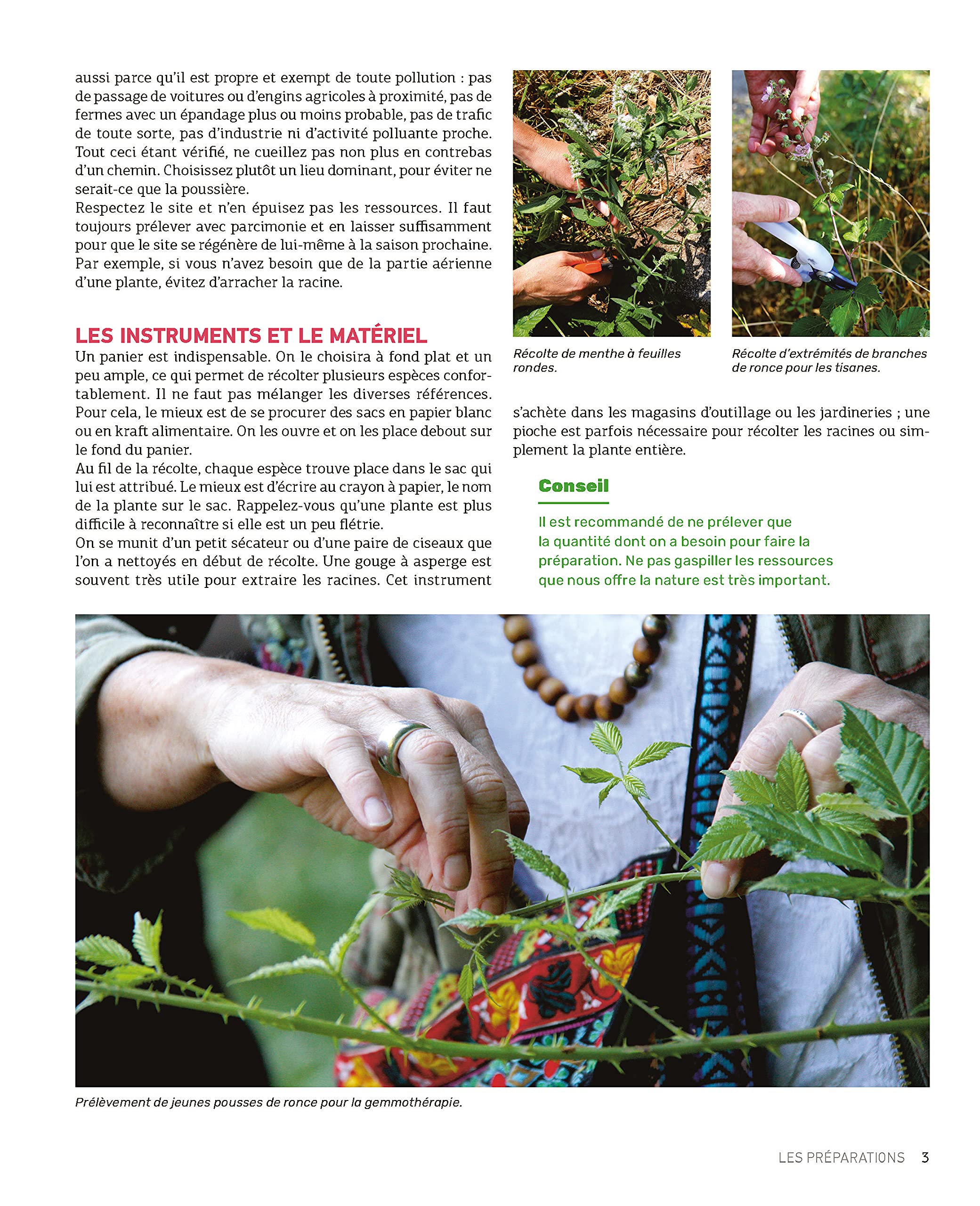Le guide Terre Vivante 1000 remèdes à faire soi-même: Teintures mères - Macérats - Baumes- Lotions - Sirops - Tisanes...