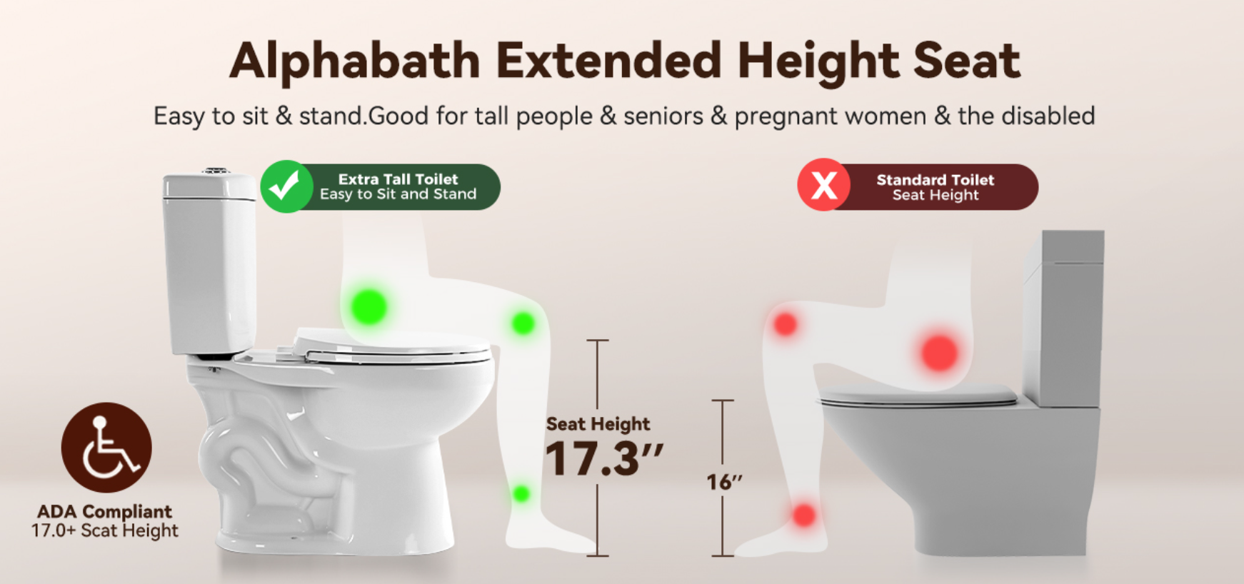 Alphabath 17“ Comfort Height Toilet with Soft close seat, Two
