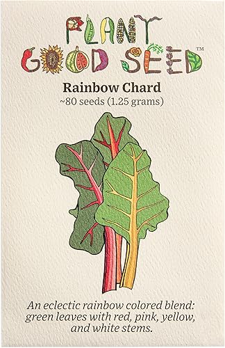 Plant Good Seed Semillas orgánicas de acelga arcoíris – Paquete de 80, paquete de 400, semillas tradicionales para plantar verduras, suministros de