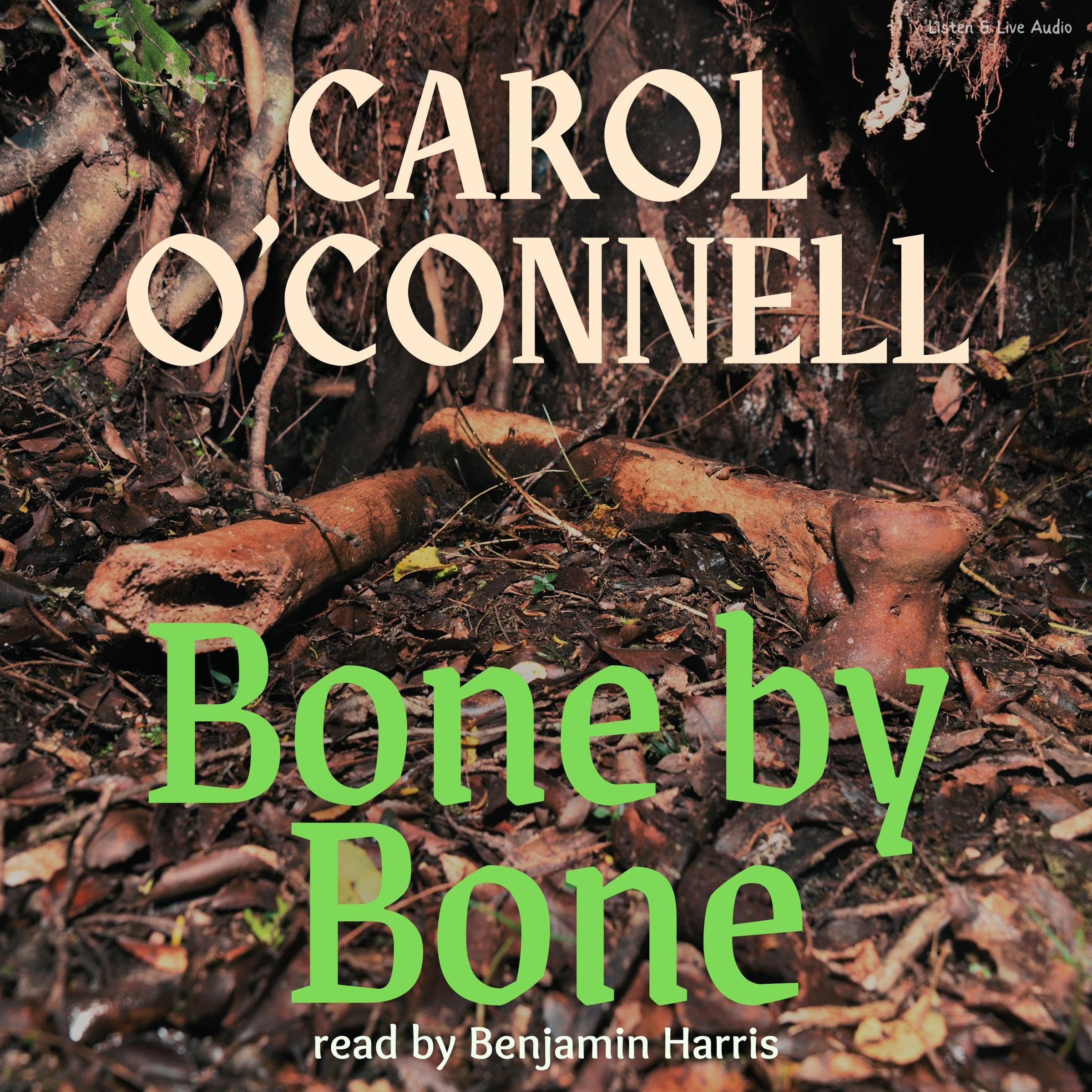 Cover art for Bone by Bone