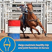 Vista 3 de Farnam Fluidflex Suplemento líquido para articulaciones para caballos, ayuda a mantener una función saludable de cadera y articulaciones, 64 onzas