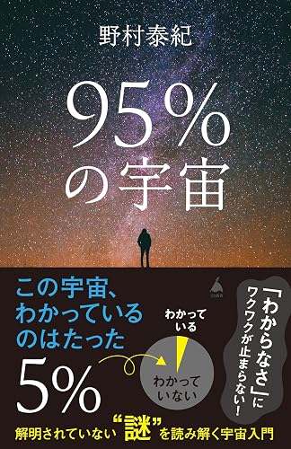95%の宇宙 解明されていない“謎”を読み解く宇宙入門 (SB新書)