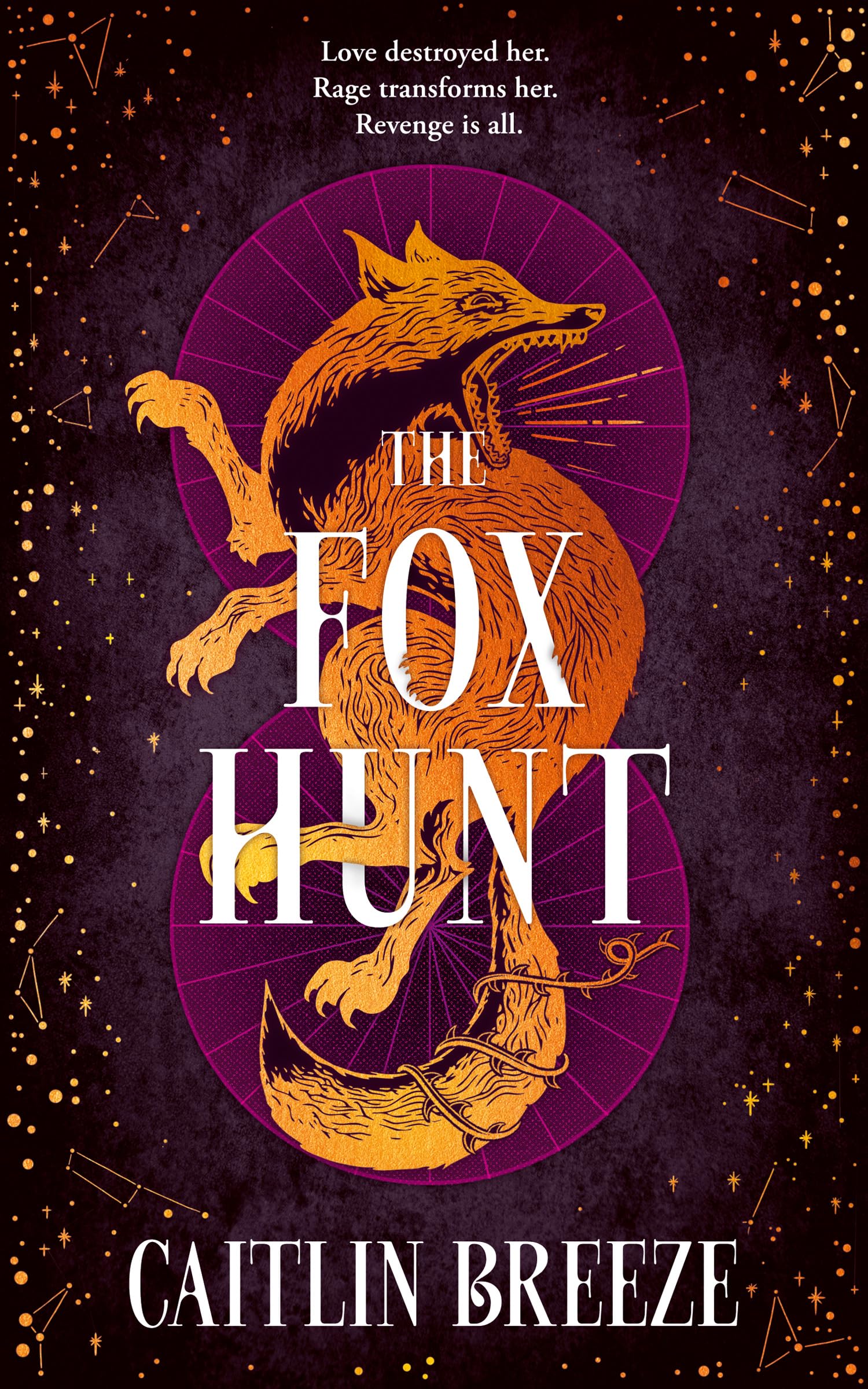 The Fox Hunt: A magical dark academia YA revenge fantasy debut from a USA Today best-selling author, perfect for fans of VE Schwab and Leigh Bardugo, new for 2026!
