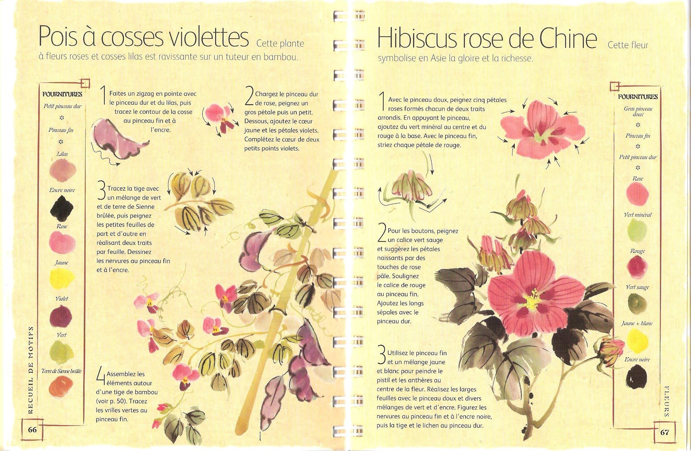 Carnet de peinture chinoise : 200 motifs a reproduire étape par étape