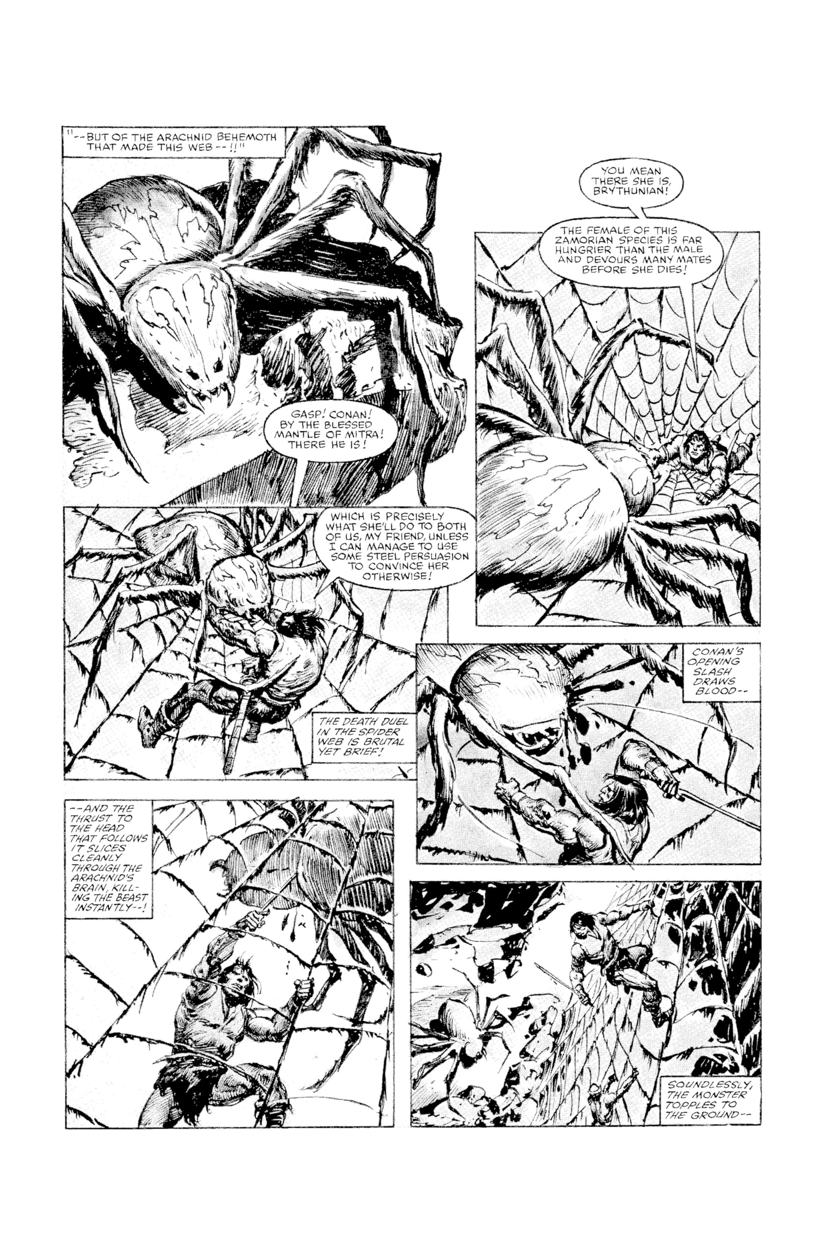 The Savage Sword of Conan the Original Comics Omnibus 6