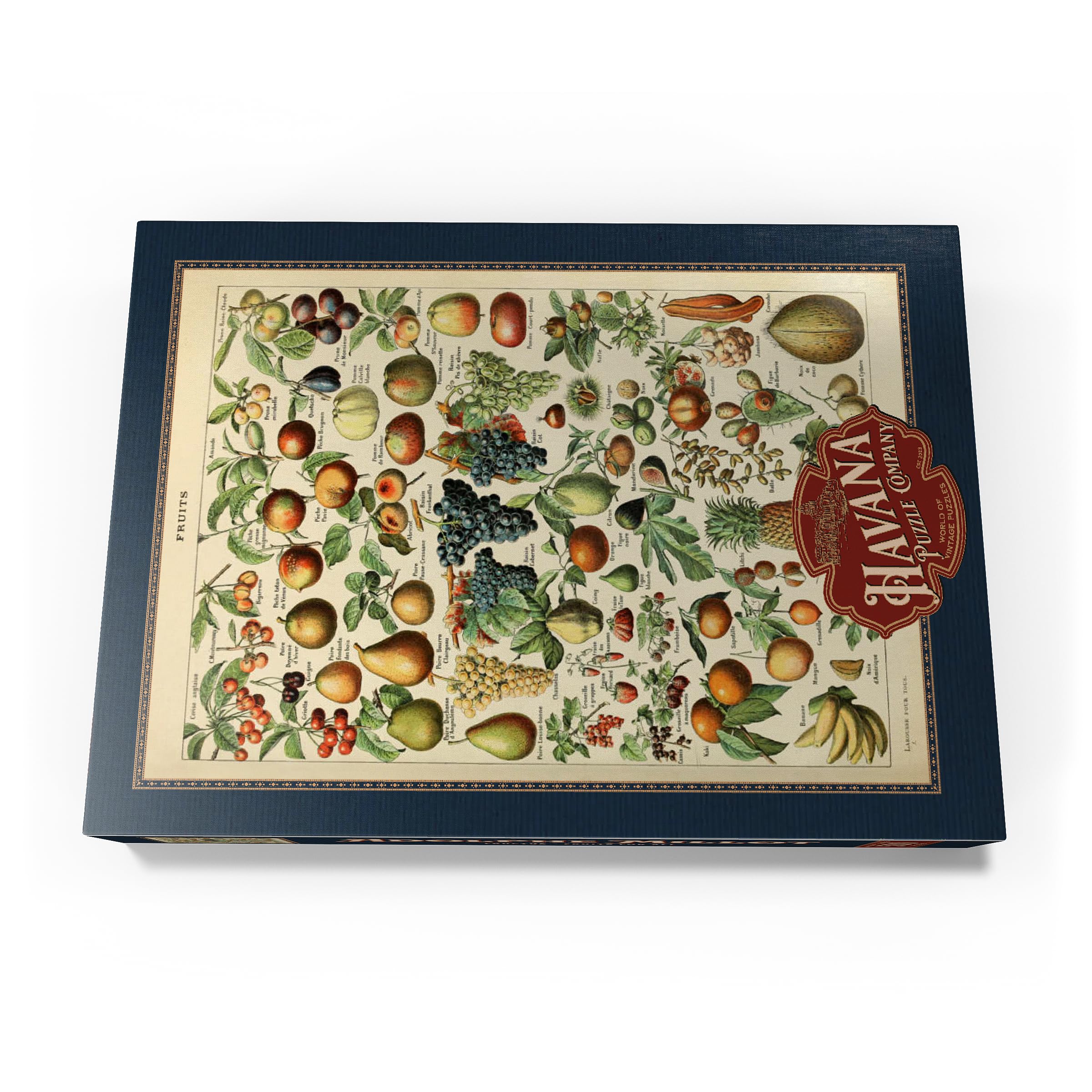 Fructus, Fruits for All Vintage Art Poster, Adolphe Millot, Premium 500 pieces Puzzle - Image 4