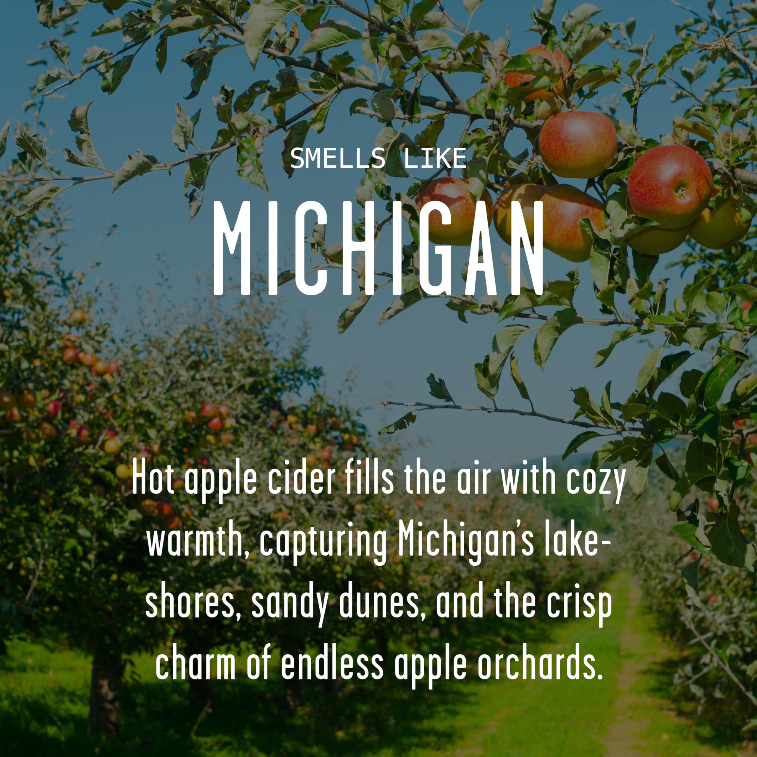 Michigan Gifts, Michigan Decor for Home - 'There's No Place Like Michigan Candle, w/Hot Apple Cider I Michigan Souvenirs I Michigan State Gifts I 9oz Jar, 50Hr Burn, USA Made