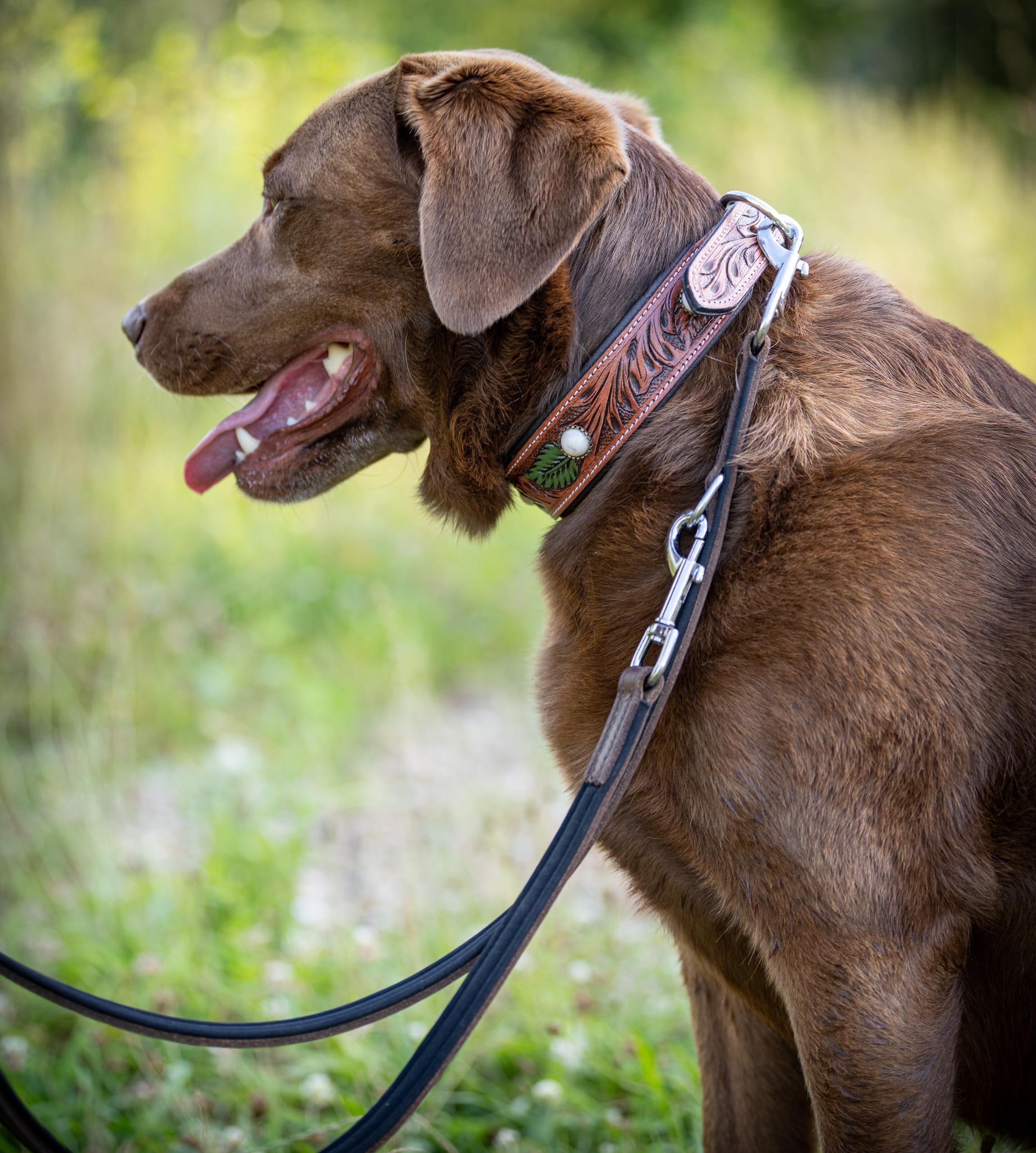 Tamy Guinzaglio Pelle Per Cani 2 M – Pelle Di Bufalo E Neoprene, Moschettone Acciaio Nero, Regolabile In 3 Lunghezze, Marrone Scuro