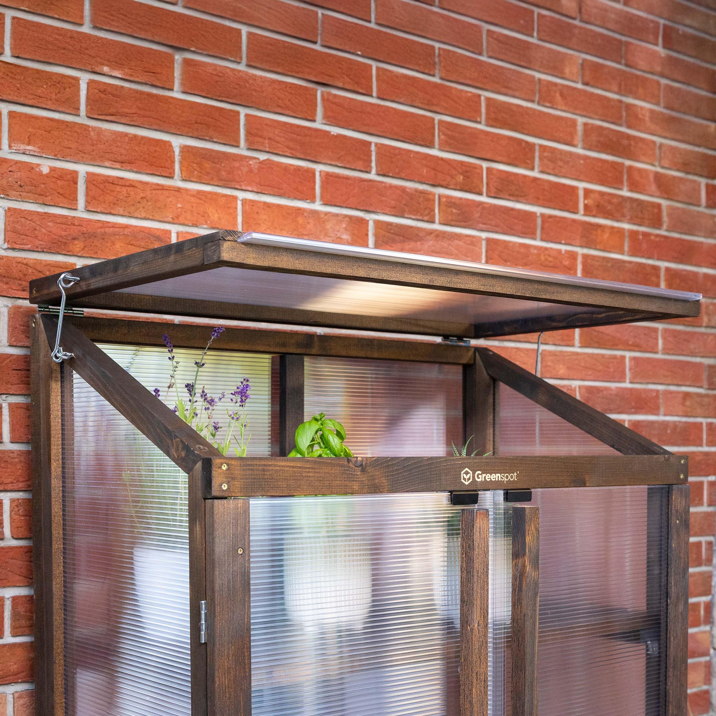 Greenspot - Mini Szklarnia na Balkon i Taras - Szklarnia Balkonowa - 80 x 42 x 121 cm - z Drewna i Tworzywa, Maks. Obciążenie Półki 50 kg - na Zioła, Kwiaty, Rozsady - Origin Ciemny Palisander | 3 wytrzymałe poziomy na zioła, warzywa i kwiaty. Składany da