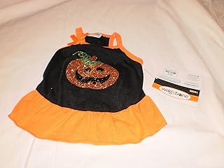 wag and bone dog clothes