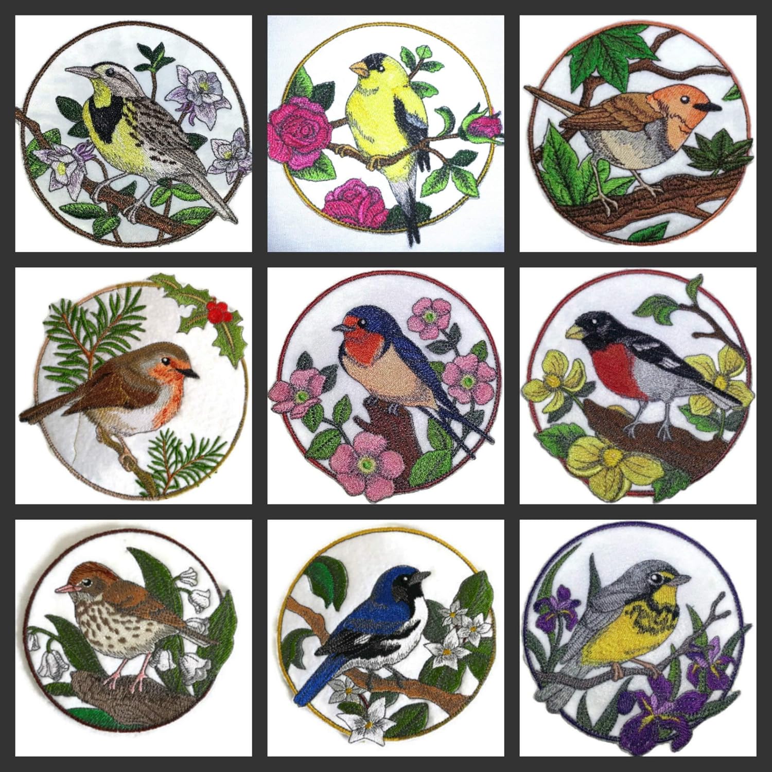 Nature Weaved in Threads, Amazing Birds Kingdom [Rose Breasted Grosbeak and Woody Poppy [Custom and Unique] Embroidered Iron on/Sew Patch [5.83" *5.86"] [Made in USA]