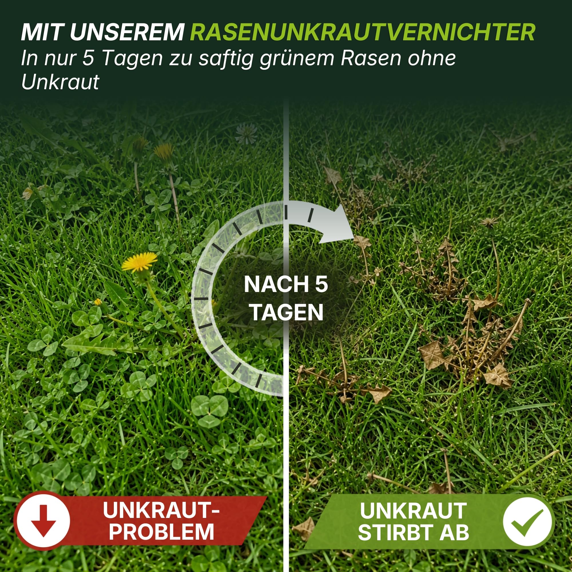 TerraUno Unkrautvernichter Rasen 500 ml, Flüssiges Unkrautvernichtungsmittel extra stark, gegen über 40 Unkräuter, Löwenzahn und Klee Vernichter, Rasenunkrautvernichter mit wurzeltiefer Wirkung