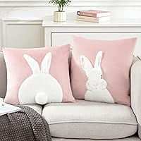 Vista 8 de Paquete de 2 fundas de almohada de primavera y Pascua de 18 x 18 pulgadas, fundas de almohada bordadas en 3D, fundas de almohada decorativas