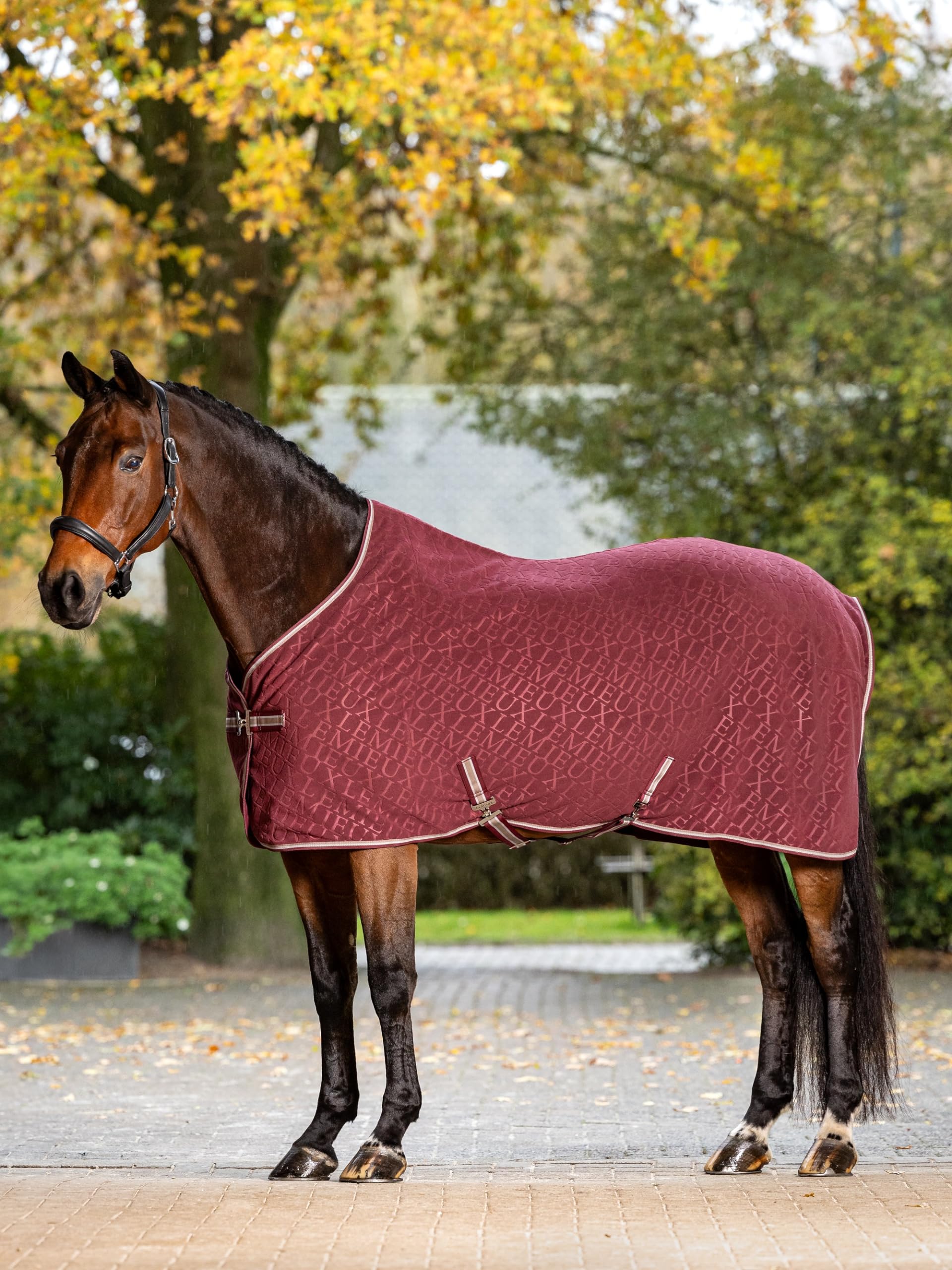 LeMieux Arika Monogram Fleece Rug - Stable Cooler Rug - AntiStatic - Super Soft - Burgundy - 6ft9ins