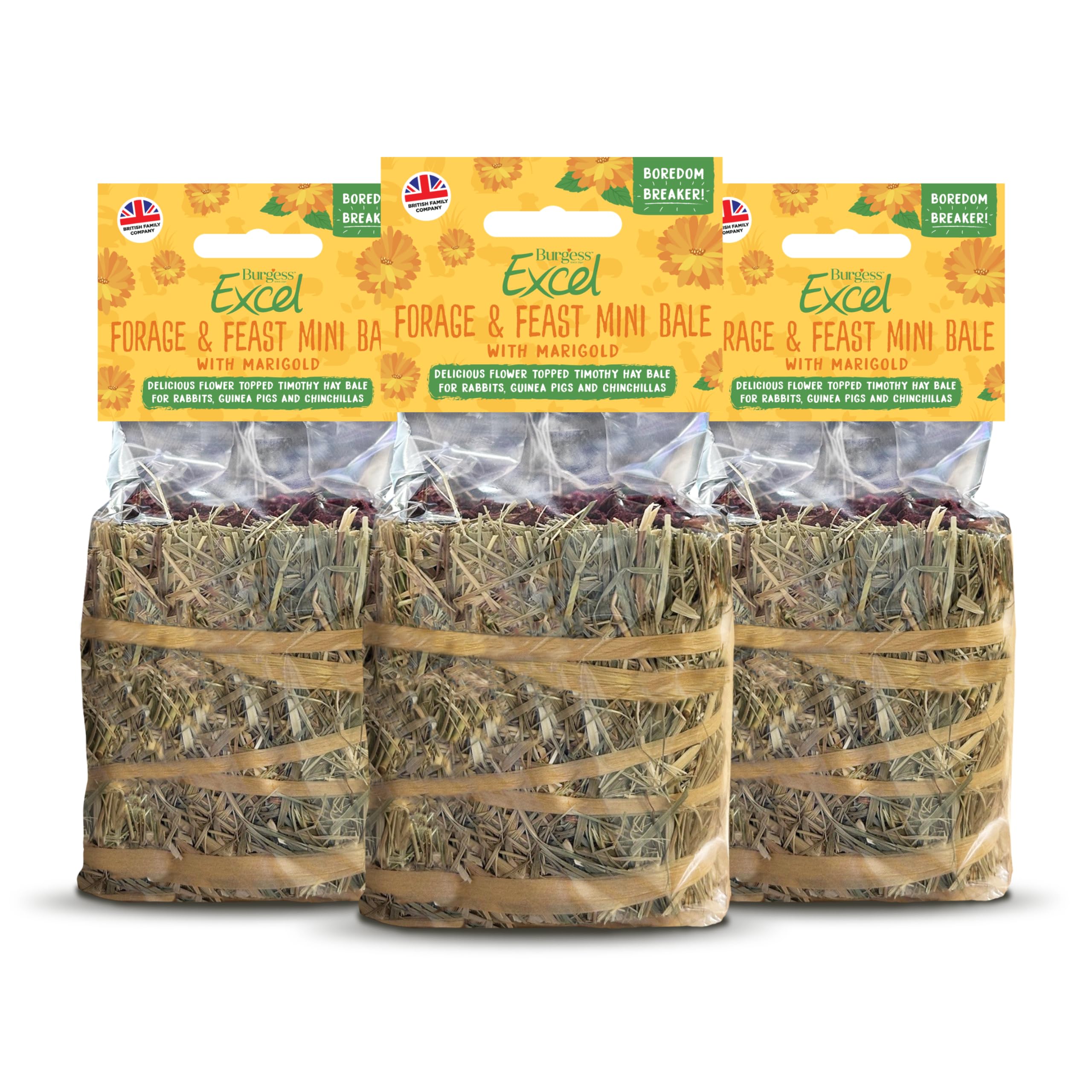 Burgess Excel Forage & Feast Mini Bale with Marigold, 300g – Mini Hay Bale Treat for Rabbits & Guinea Pigs – Natural Snack Topped with Marigold (Pack of 3)