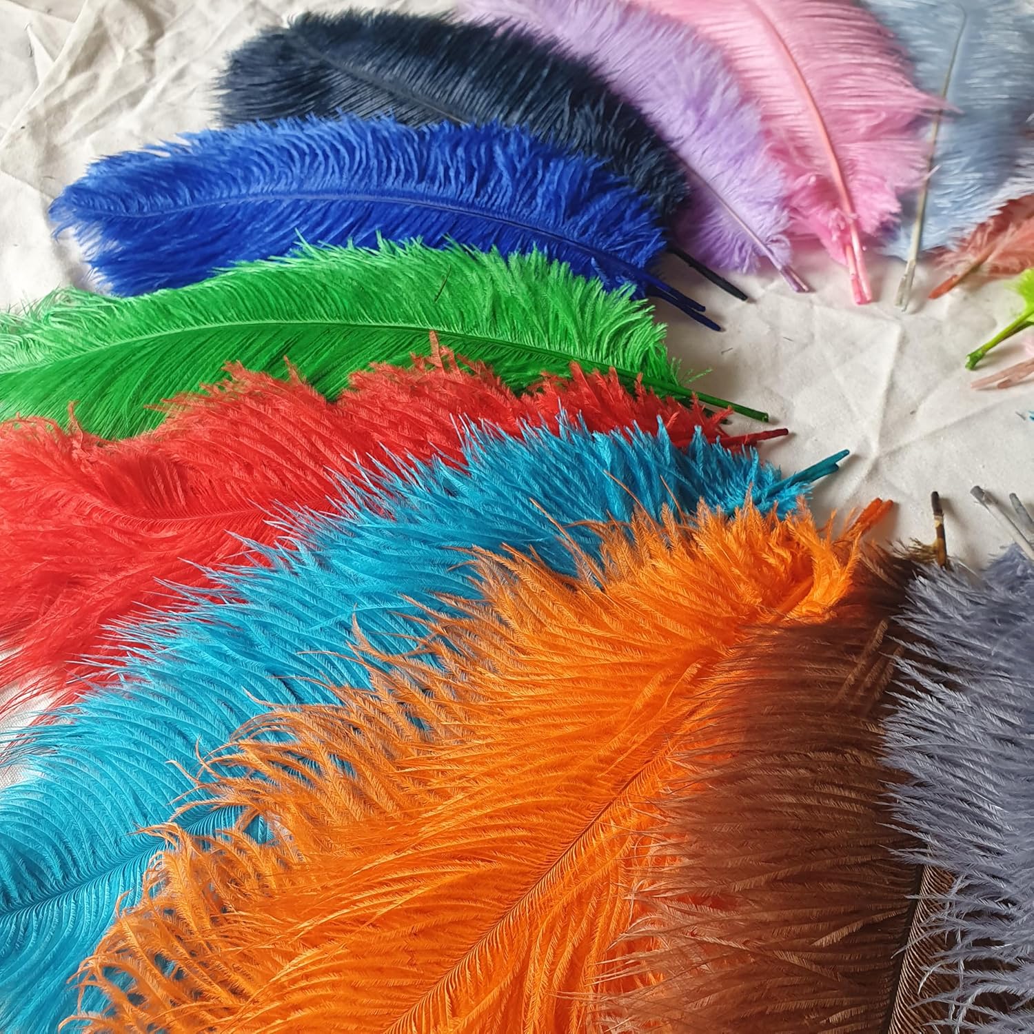 Lamar Feather 20pcs 14-16'' Blackish Green Ostrich Feathers for Wedding Centerpieces, DIY Crafts, Dream Catchers, Party Decor, Floral Arrangement, Bohemian Home Decor (Blackish Green)