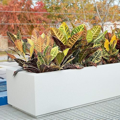 Miniatura 5 de PolyStone Riviera Short - Moderna maceta rectangular para interiores y exteriores, ligera, resistente, resistente a la intemperie, acabado de