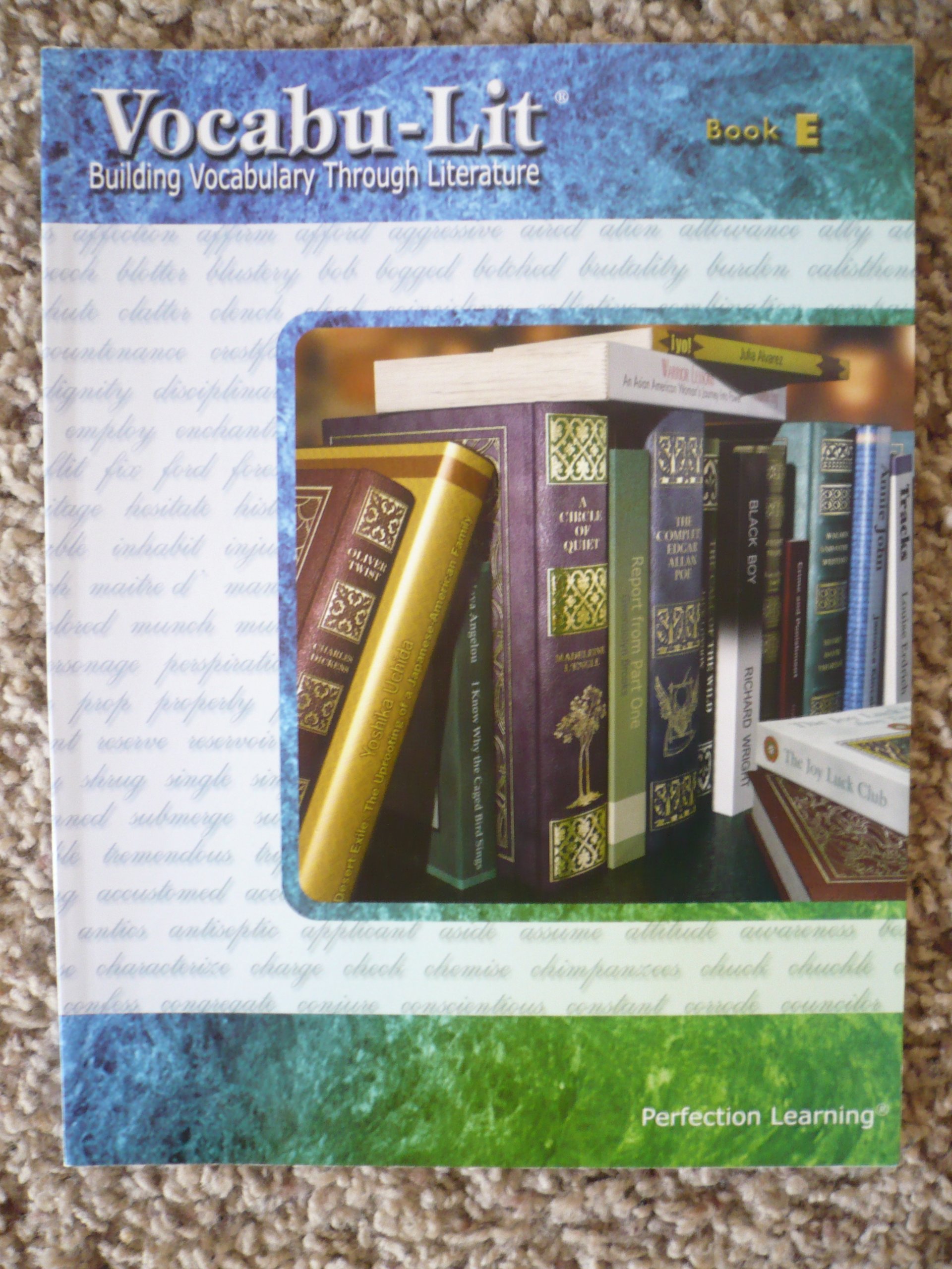 Vocabu-Lit, Grade 5, Book E