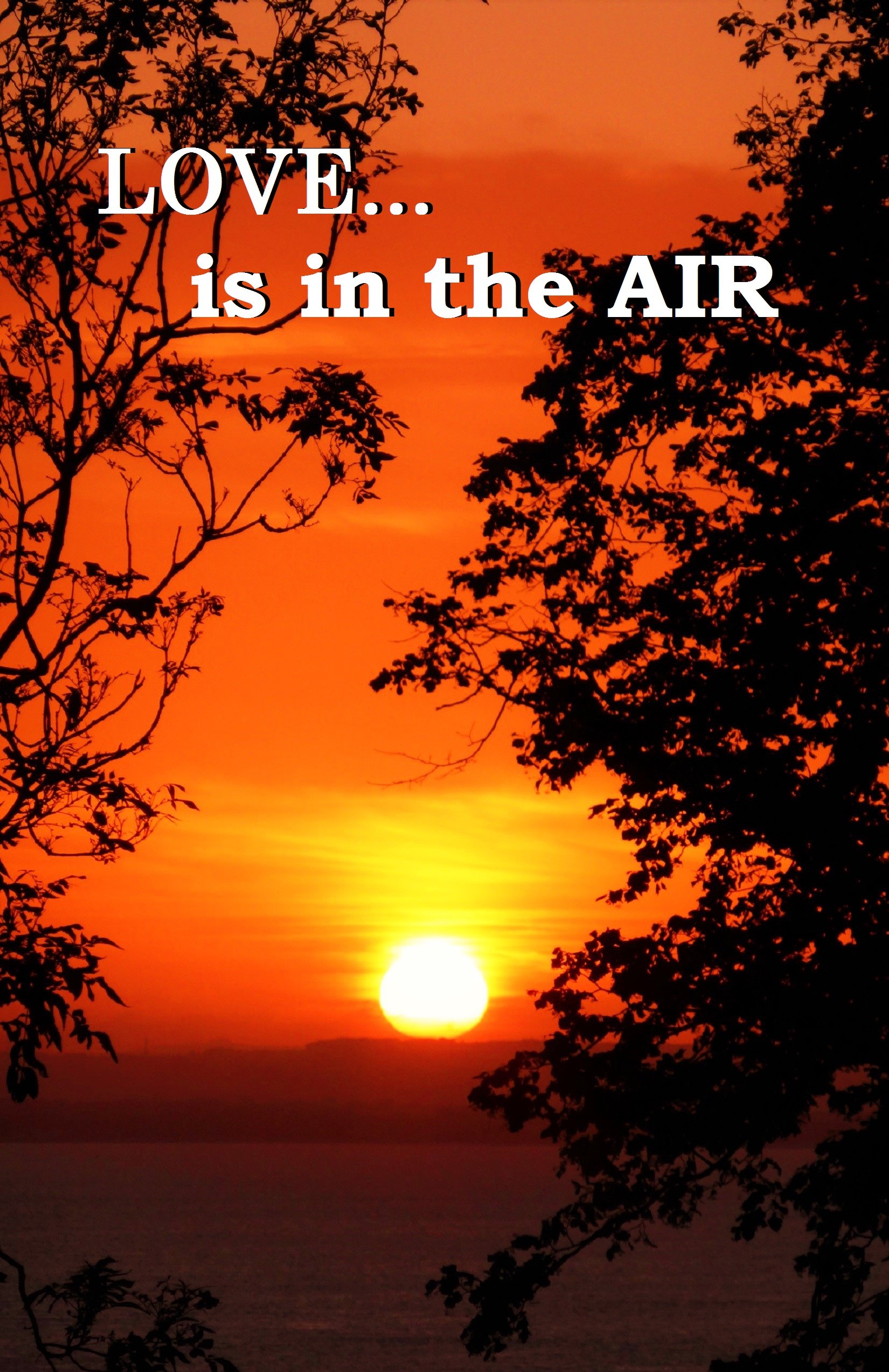 Love is in the Air (Seasonal Anthology Book 3)