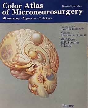 健康・医学 Micro-neurosurgical Atlas Color Atlas of Microneurosurgery: 9783131111029: Medicine