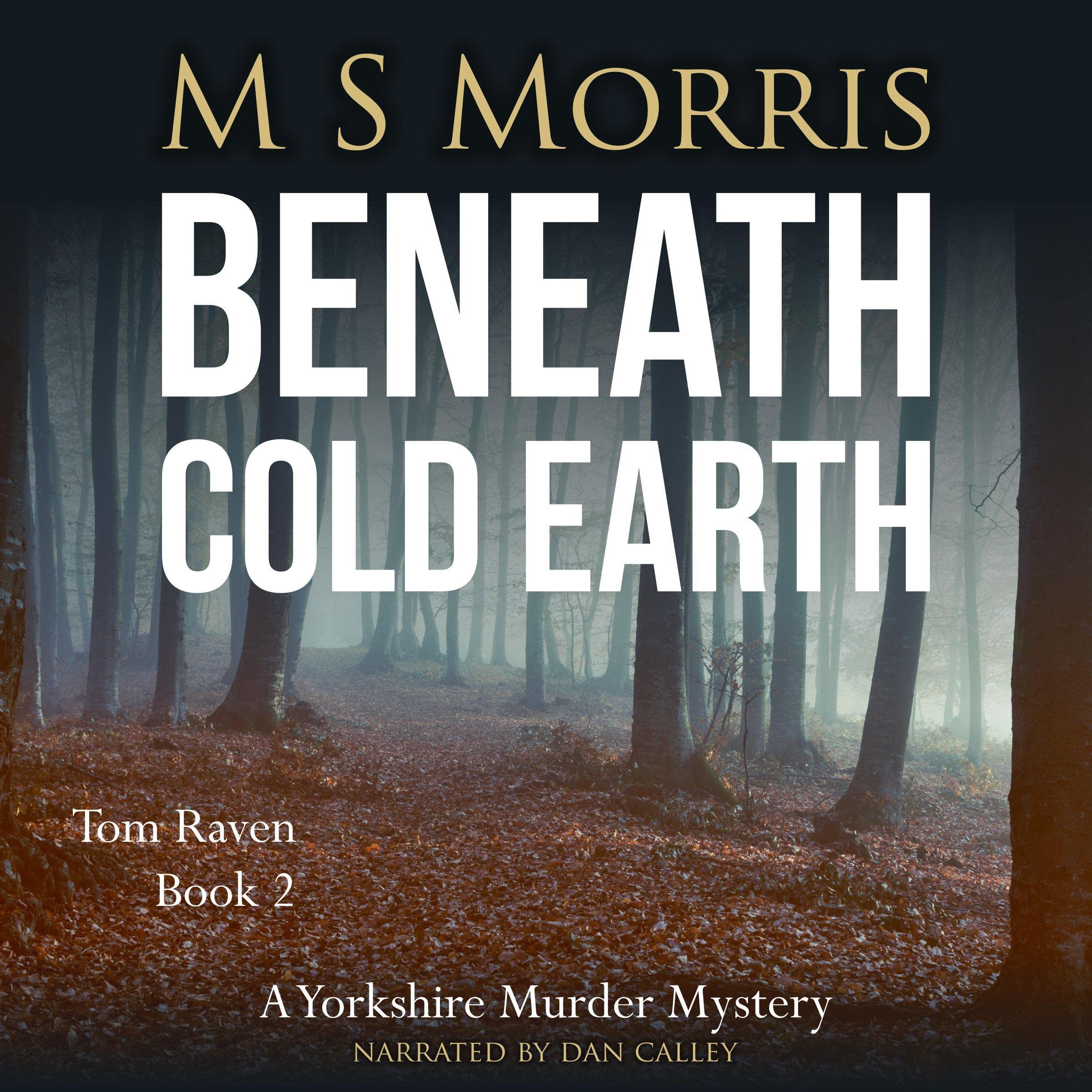 Cover art for Beneath Cold Earth