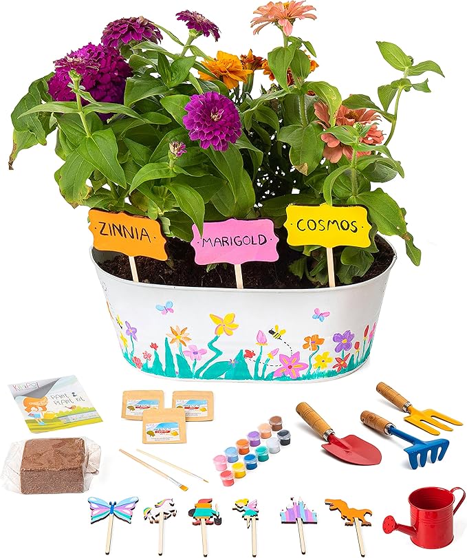Plant Kit for Kids Paint and Plant Flower Growing Kit Gardening Kit