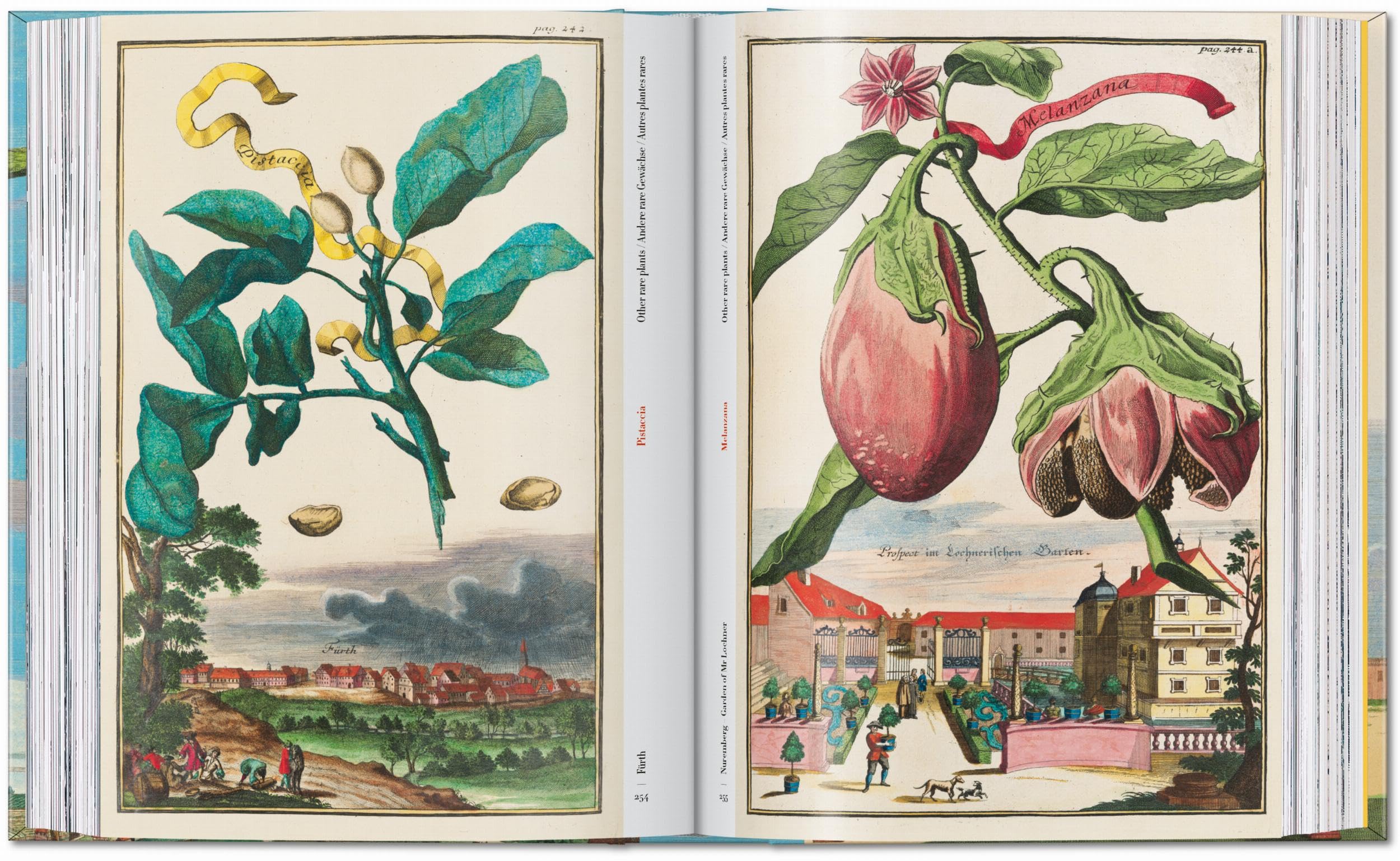 J.C. Volkamer: The Book of Citrus Fruits. 45th Ed.