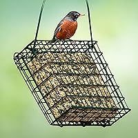 Vista 4 de Kaytee Alimento en forma de pastel de semillas para aves silvestres y gusanos de harina para azulejos, carboneros, pájaros carpinteros y más, 1.4