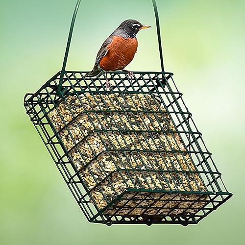 Miniatura 4 de Kaytee Alimento en forma de pastel de semillas para aves silvestres y gusanos de harina para azulejos, carboneros, pájaros carpinteros y más, 1.4