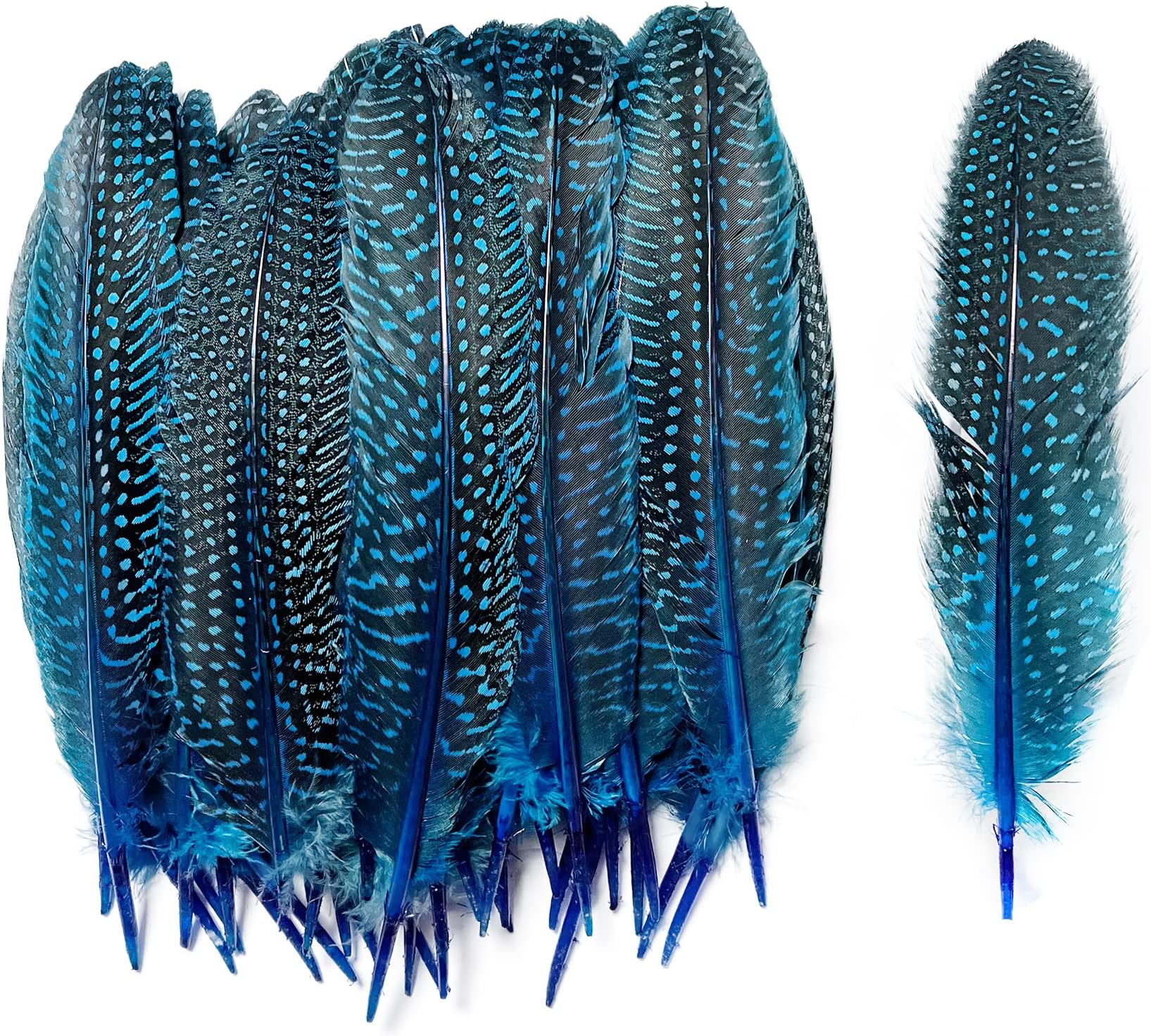 6-9 inch Natural Guinea Wing Plumage Feather for DIY Craft, Jewelry and Clothing Decoration Pack of 20-Blue