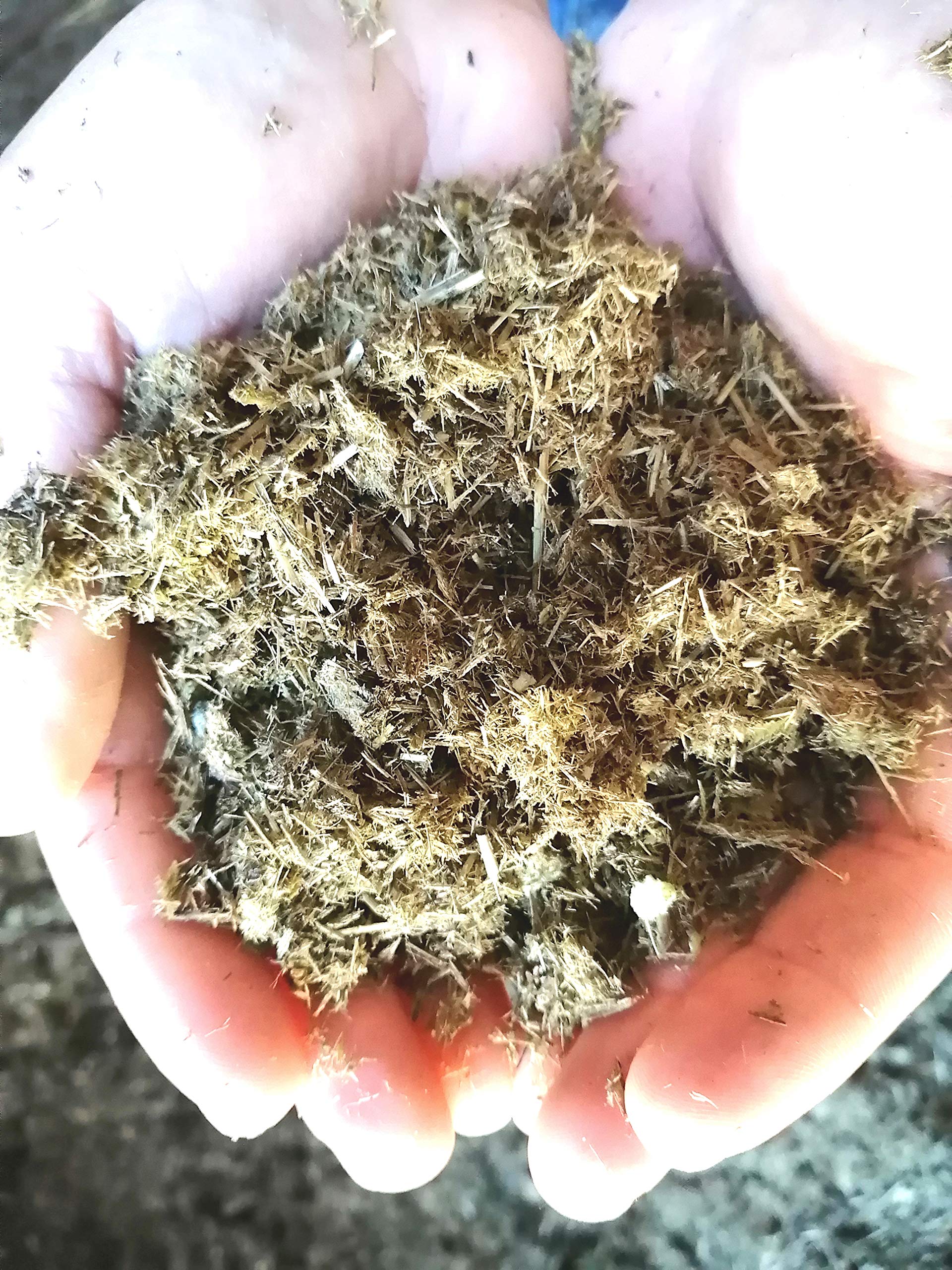 Eckards Wurmstube Pferdedung Dnger gehckselt  25 Liter Naturdnger fr  Gemse, Rosen, Starkzehrer und Pilzzucht  entspricht ca. 50 L ungehckselt   direkt vom Pferdehof : Amazon.de: Garten